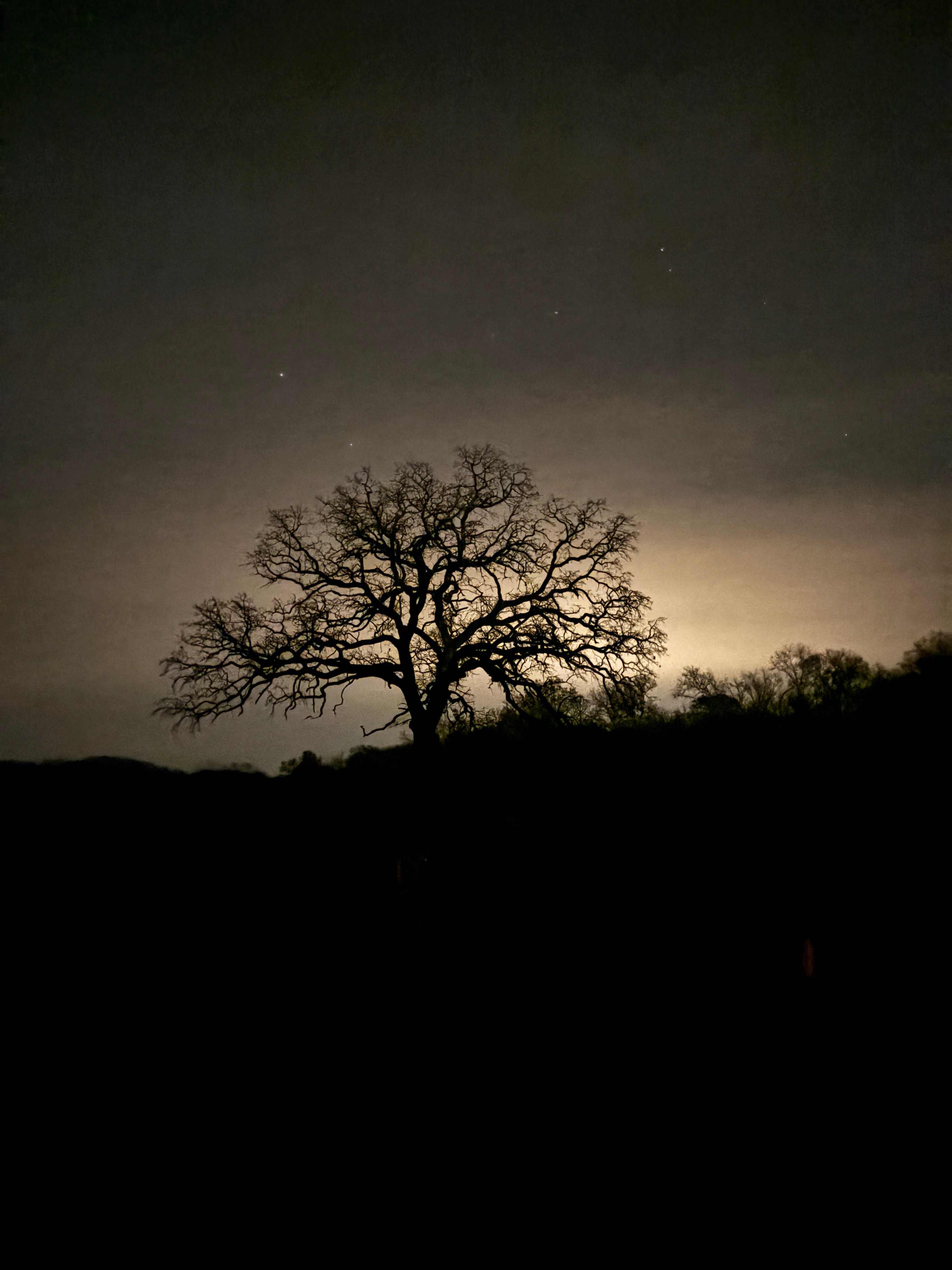 Circle M Farm Stay: Camp or Glamp