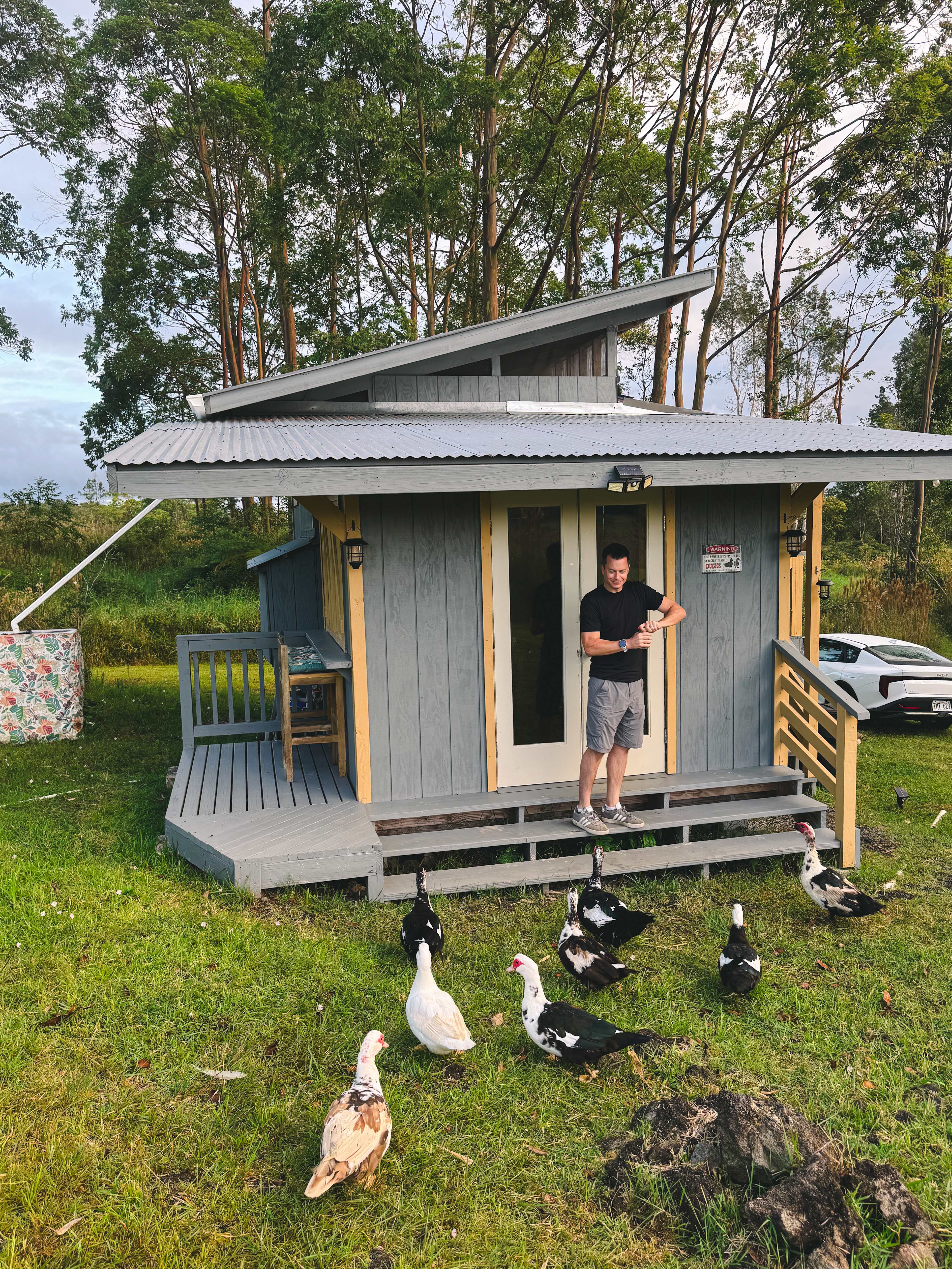 The Tranquil Homestead