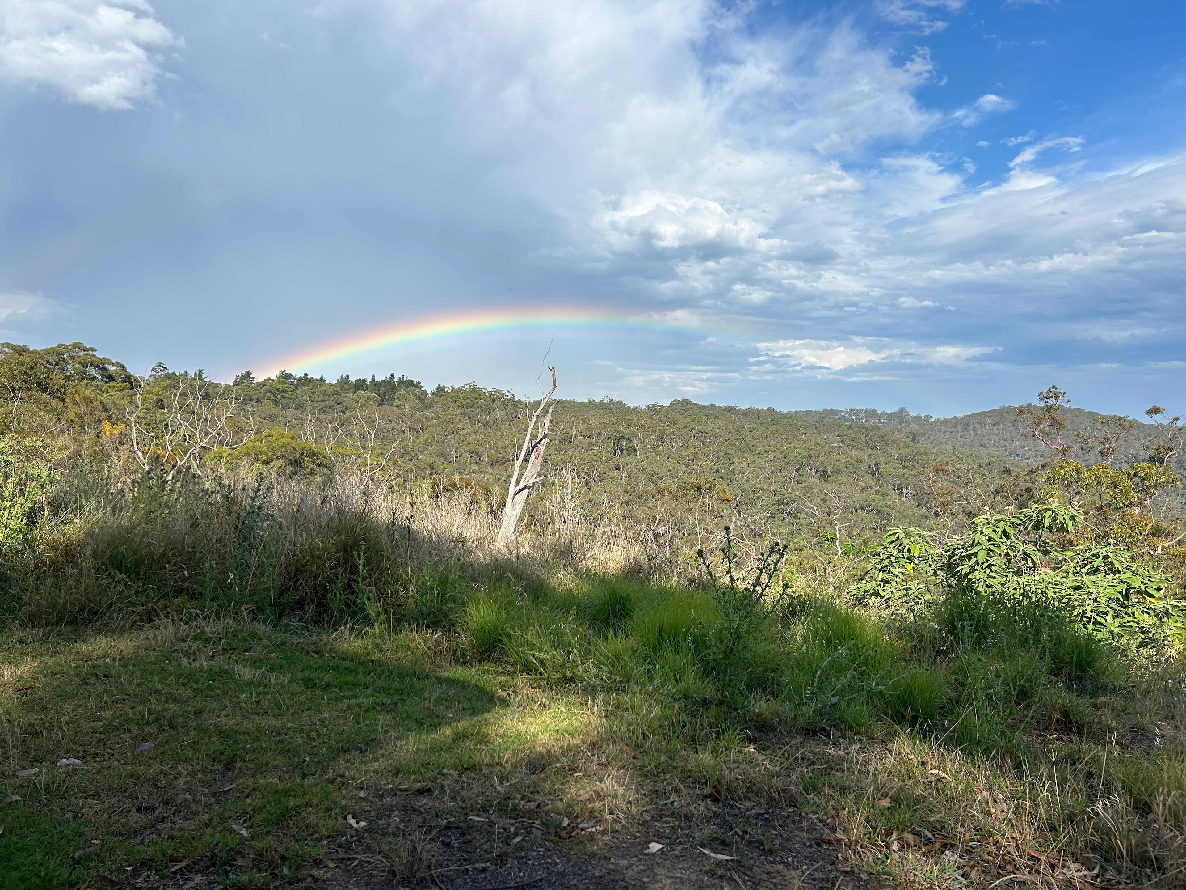 Canoelands Valley Camping