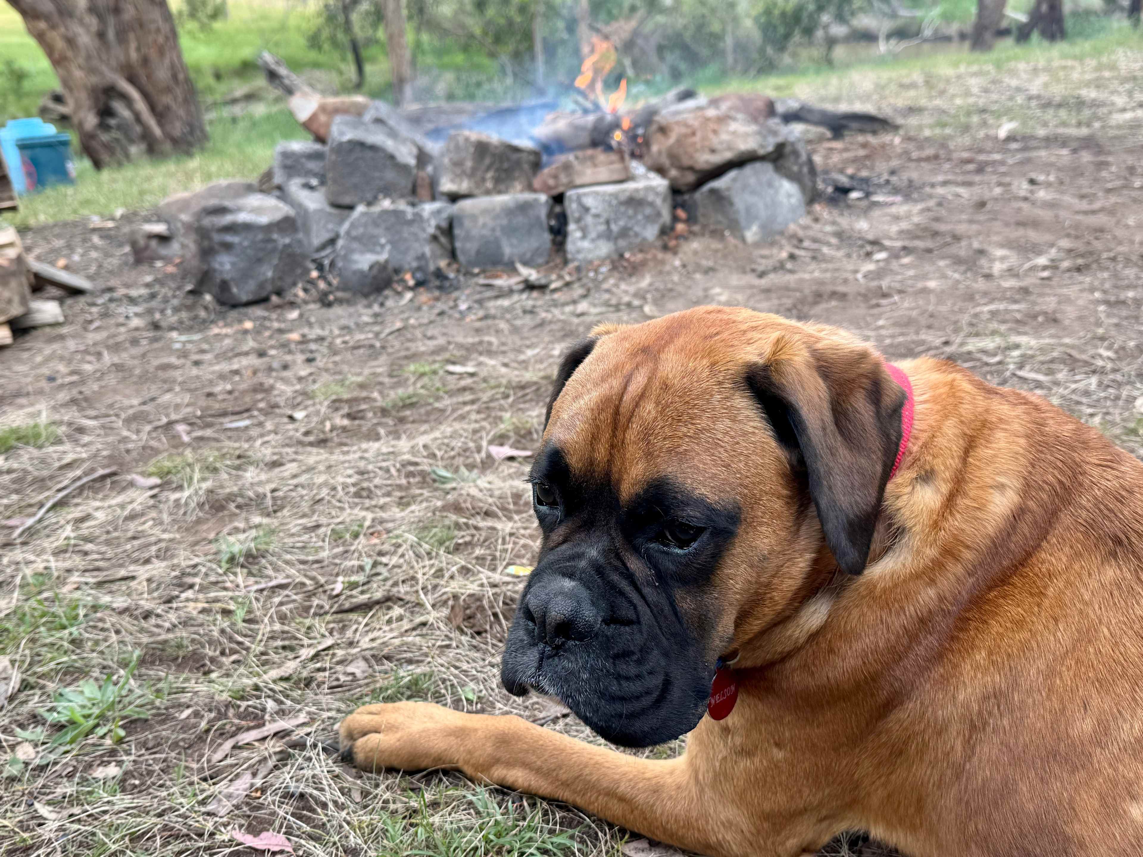 Seven Hills Tallarook