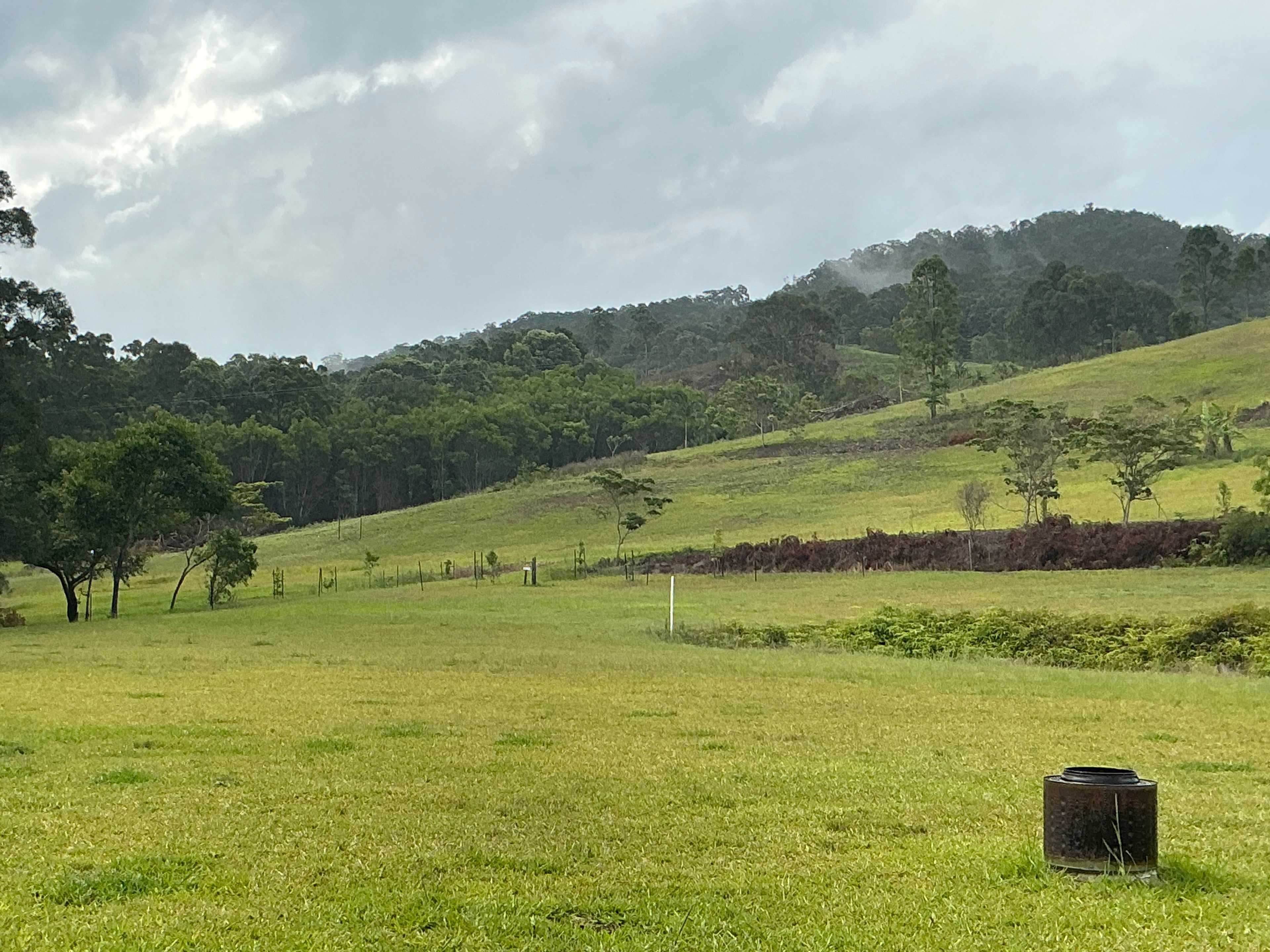 Skippy Trails on Sippy