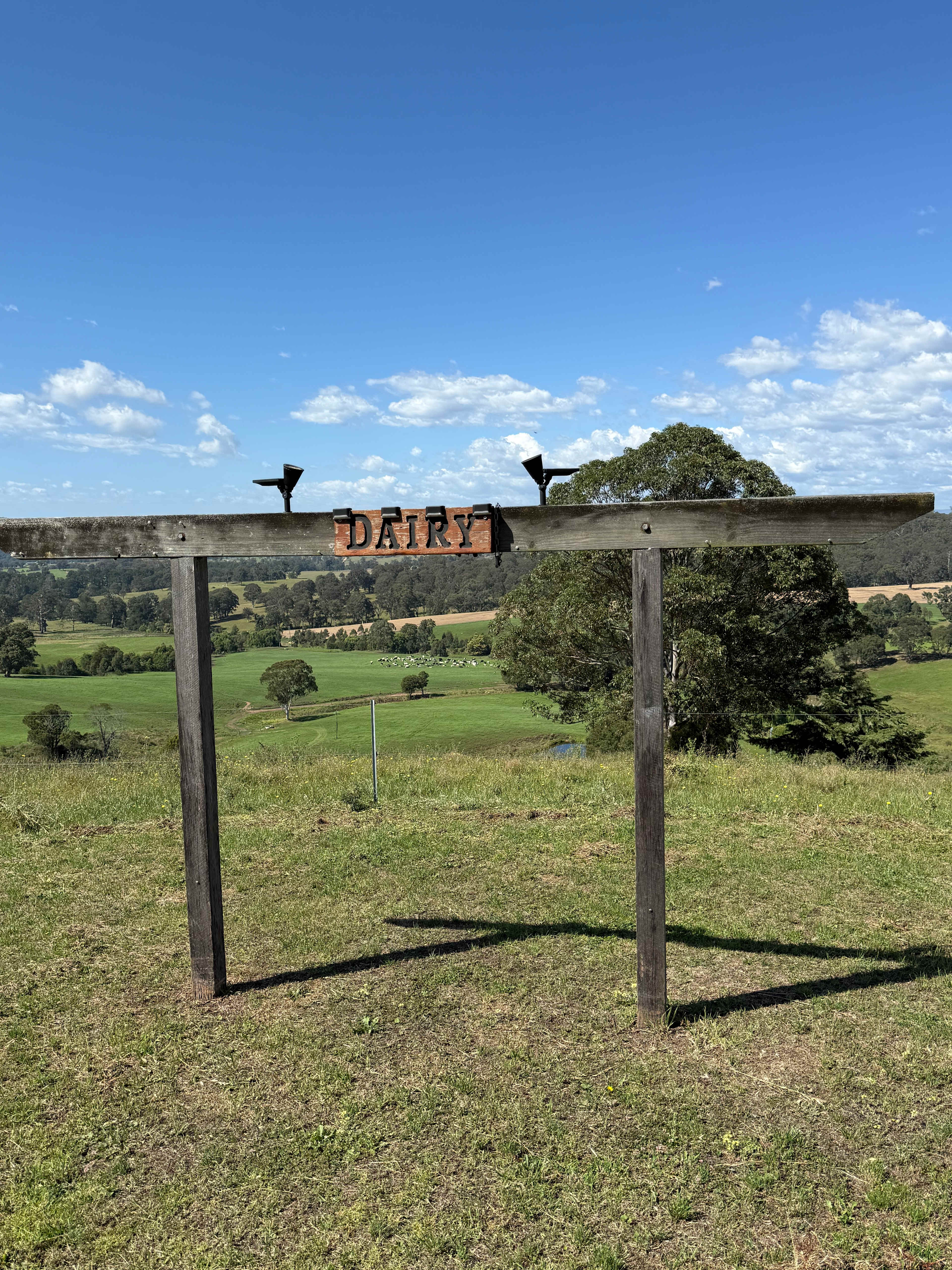 Sapphire Coast Dairy-Homestead