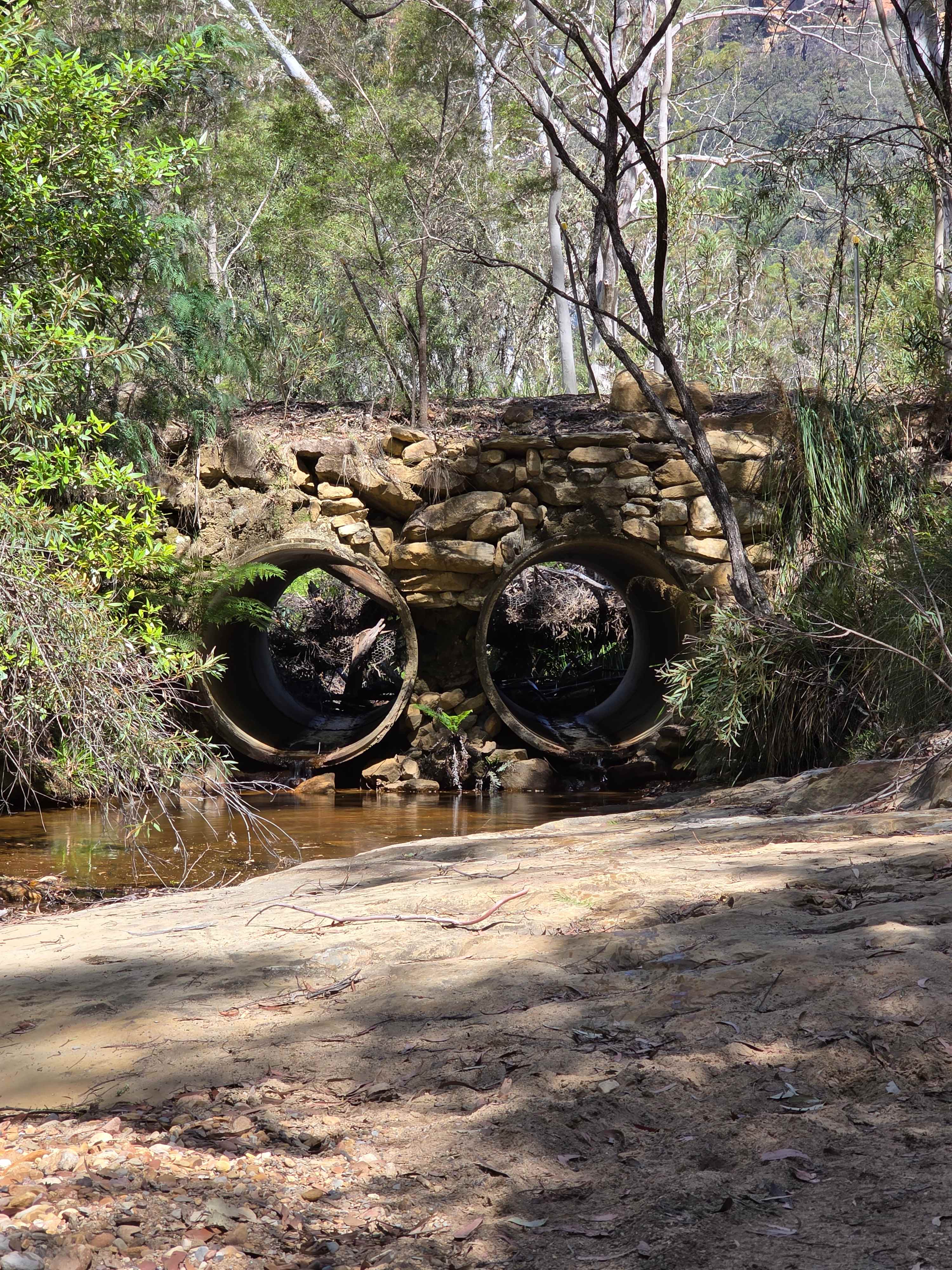 Nellies Glen Camping