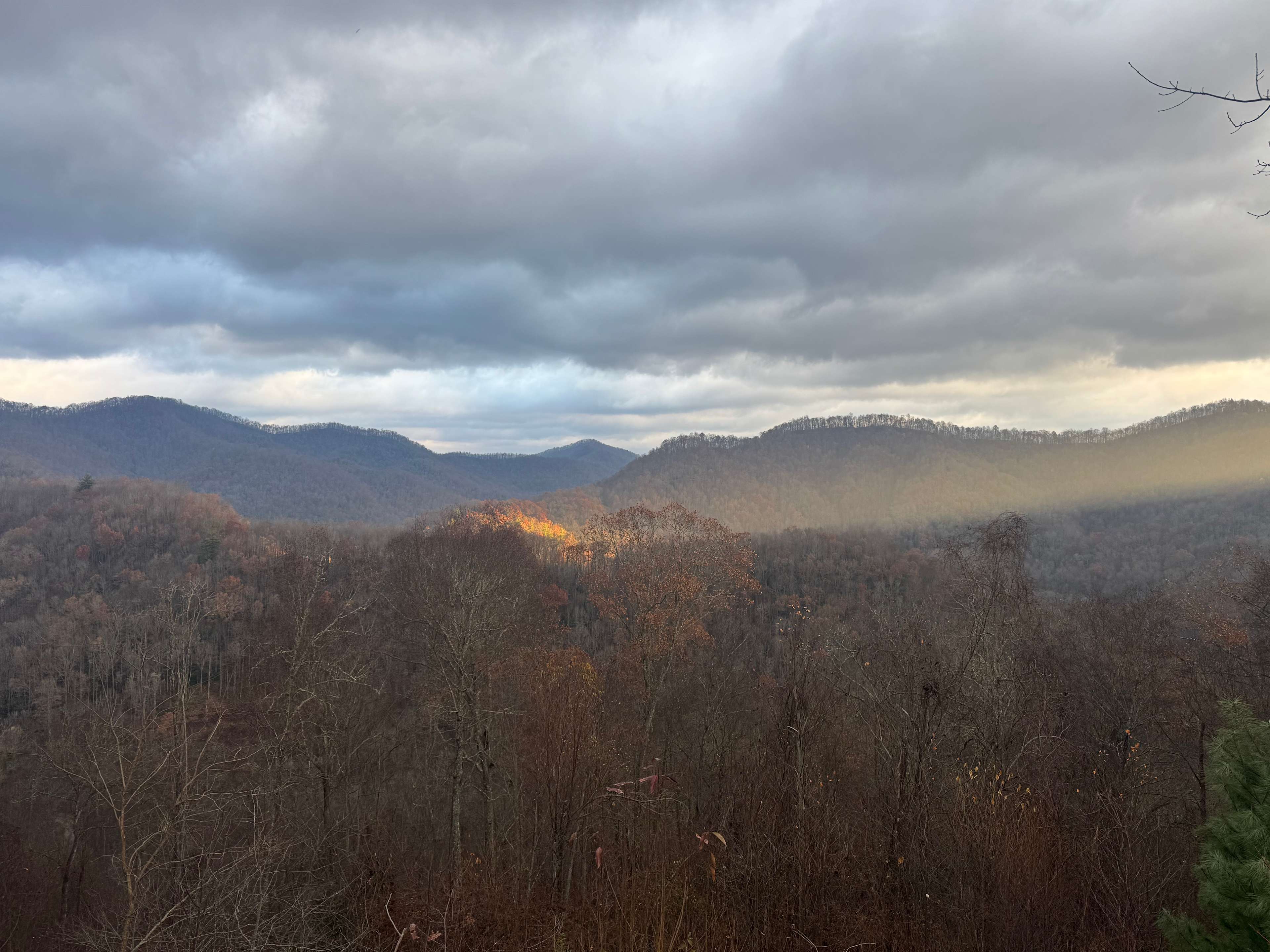 Lil Snowbird Farm Primitive Camping