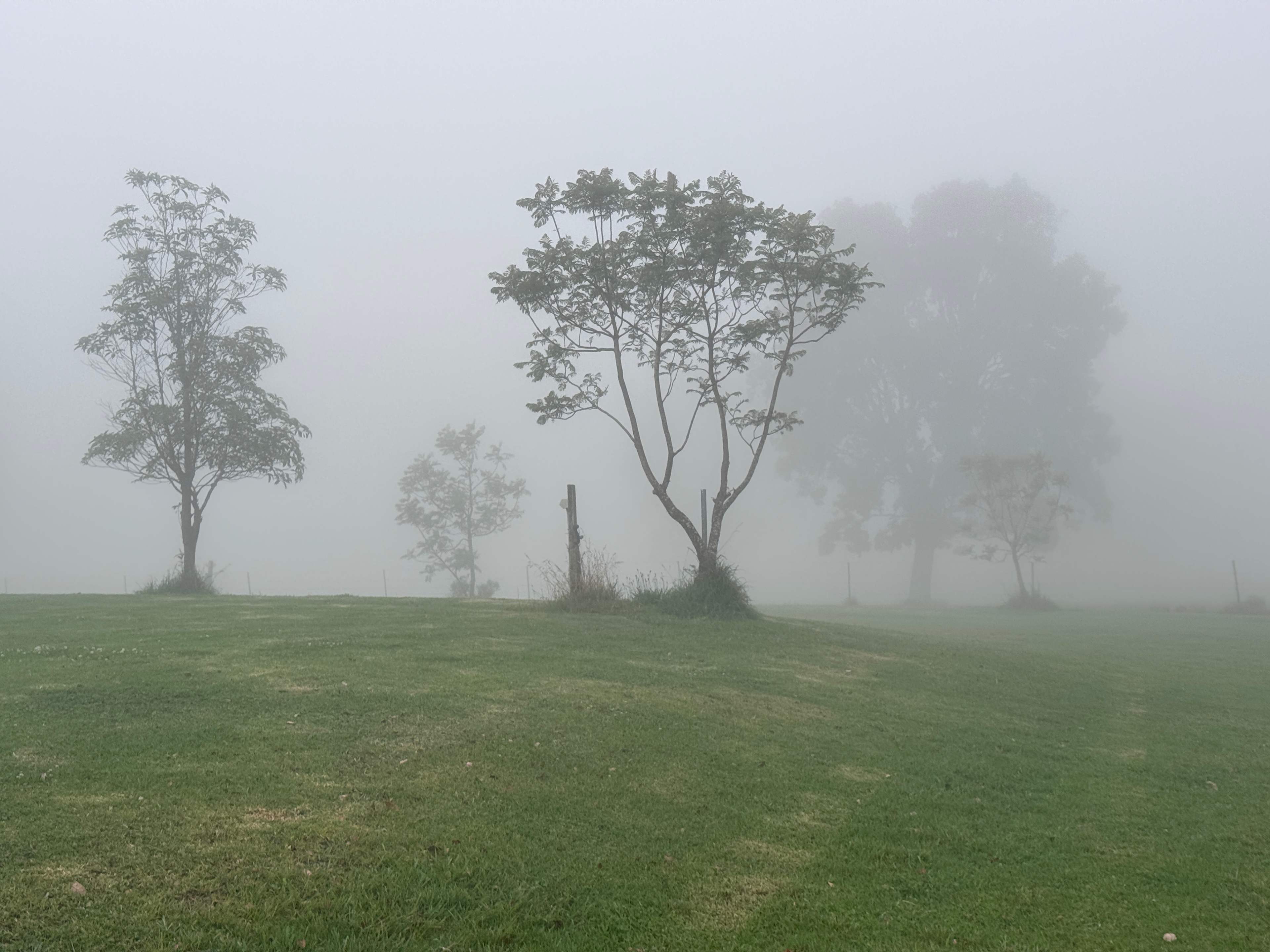 Aloomba Lavender Farm