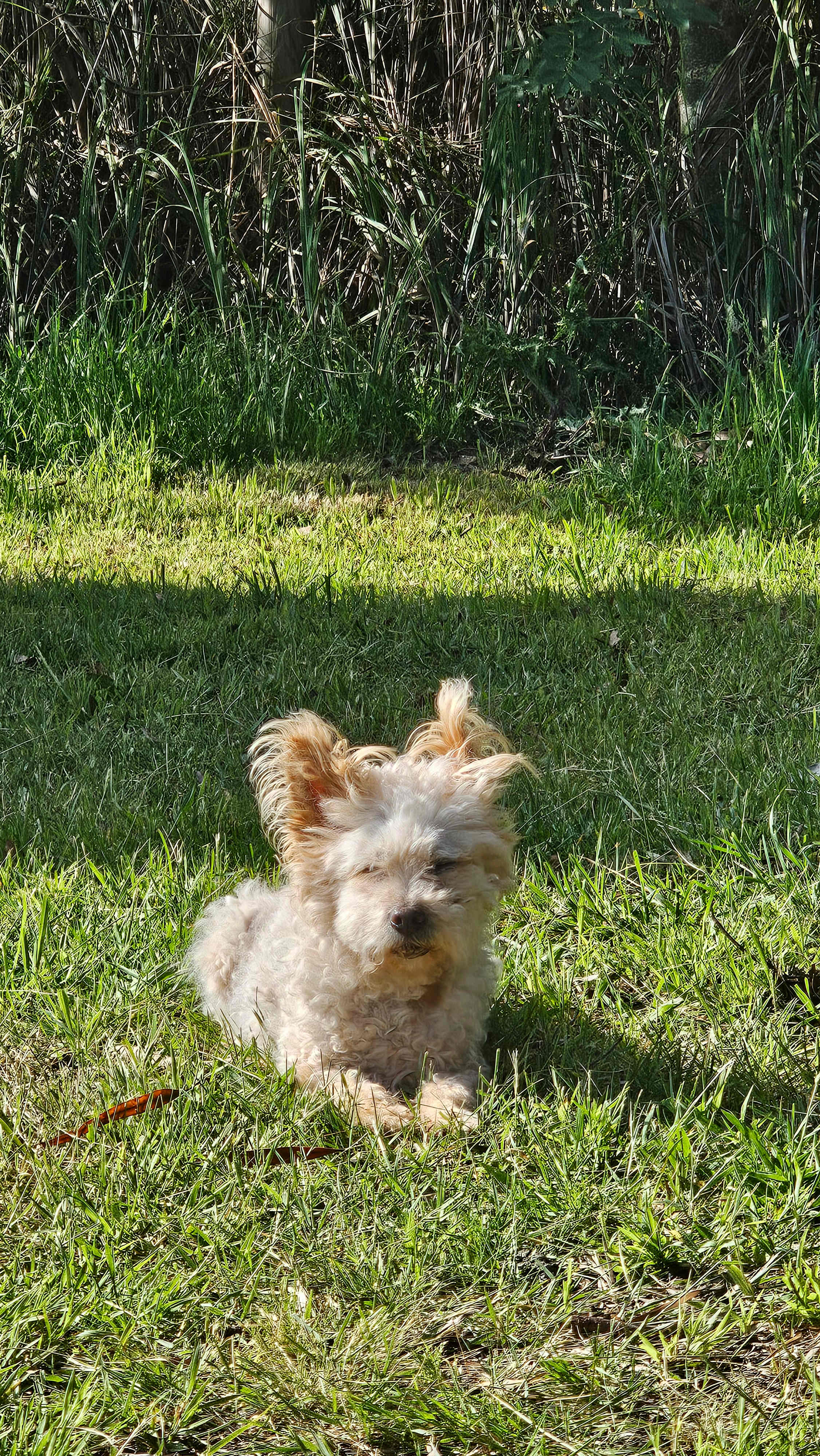Kiernan Park Equestrian Centre