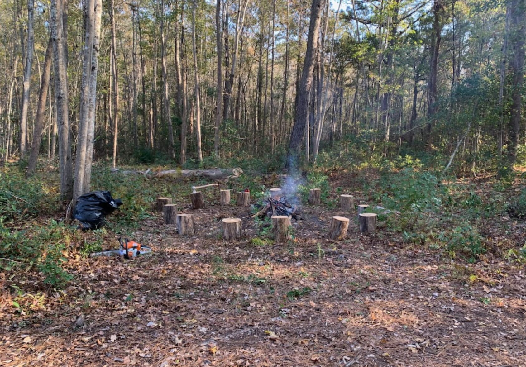 Picture of the site