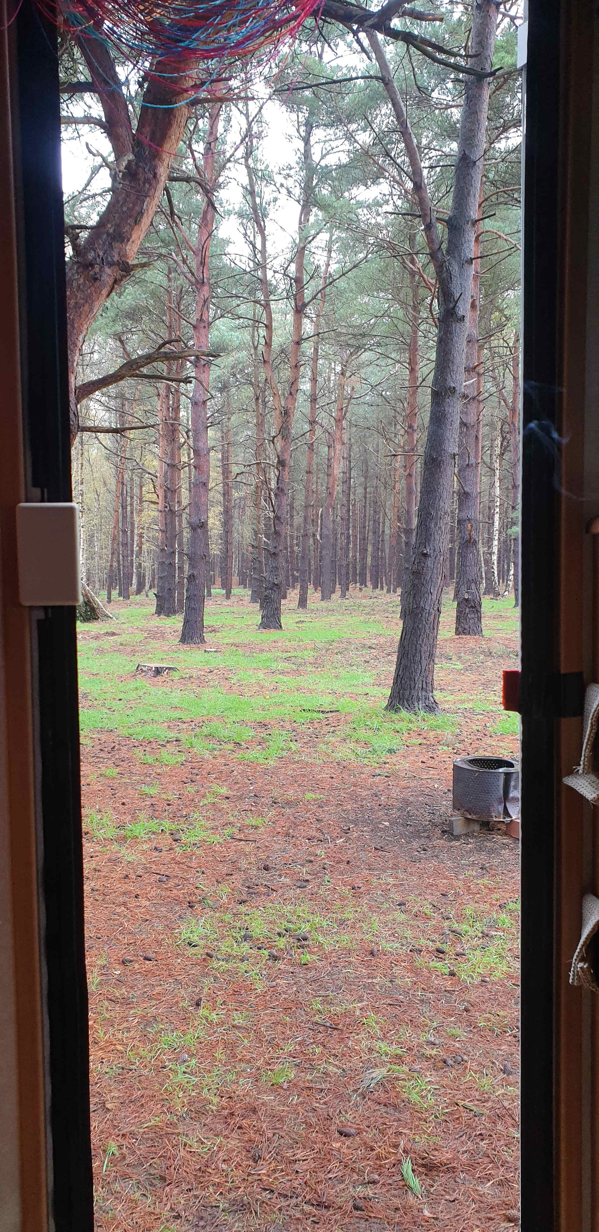 Holistic Woods Wild Campsite