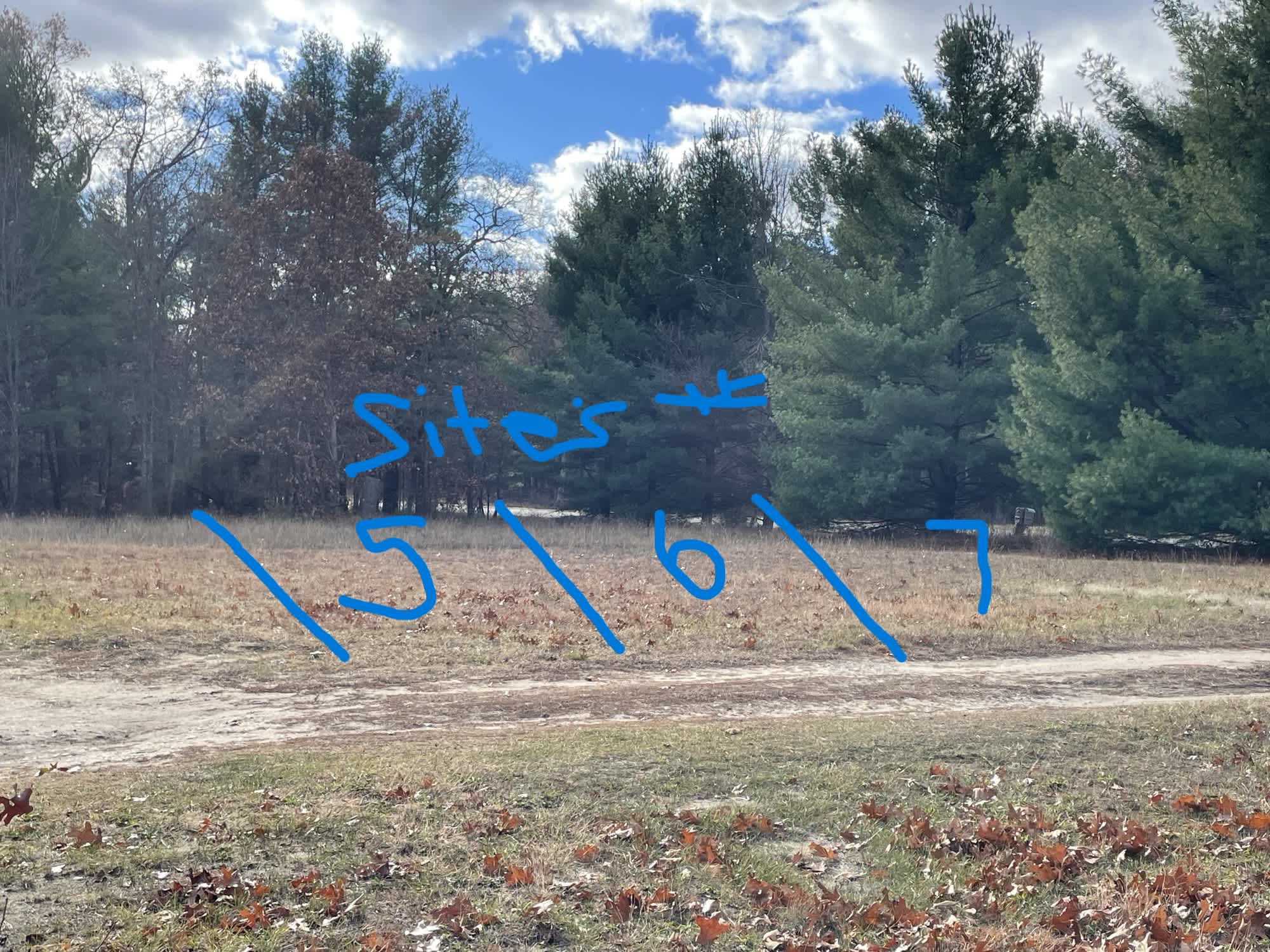 Picture of the site
