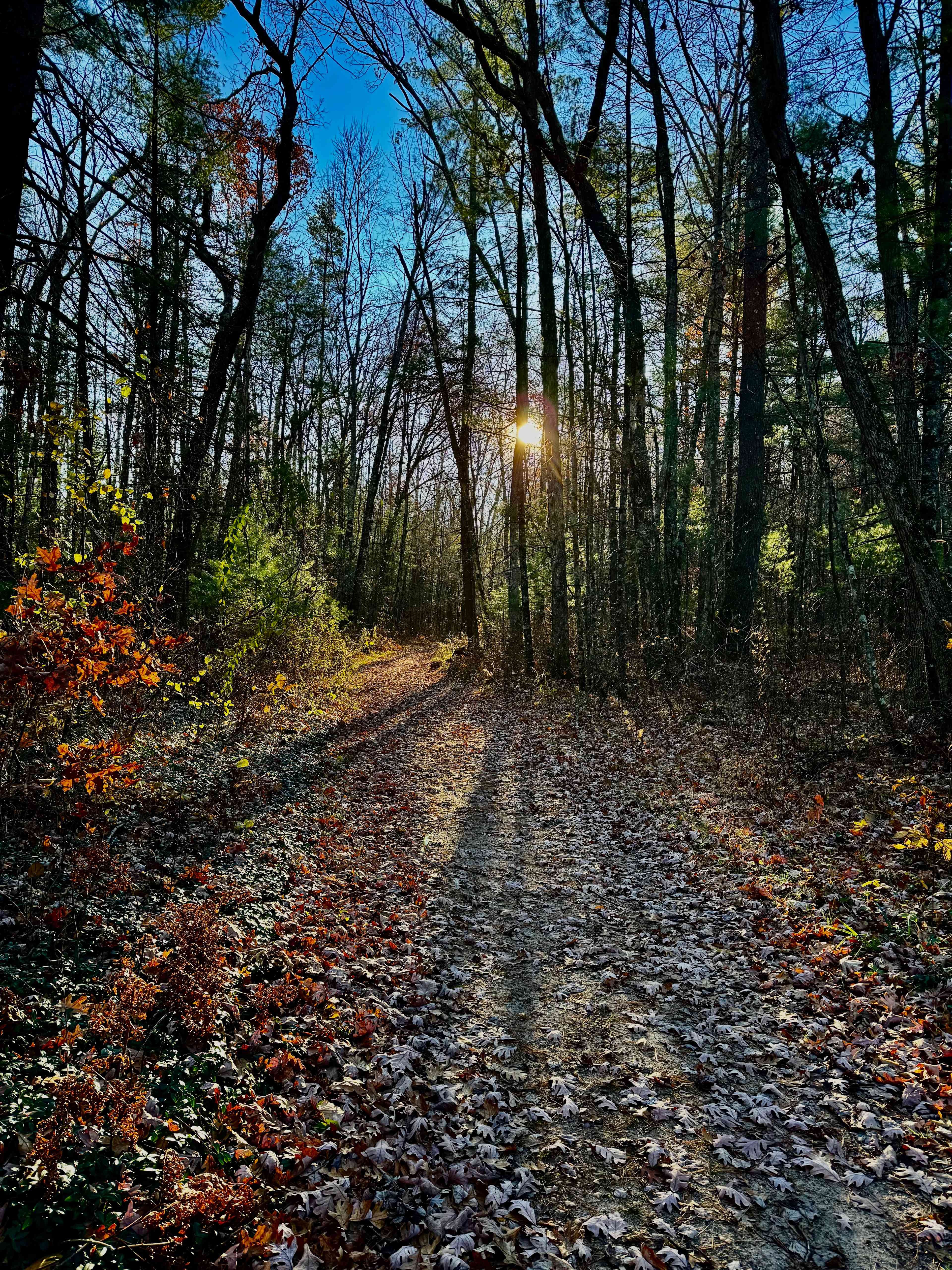 Dragon Adventures Base Camp