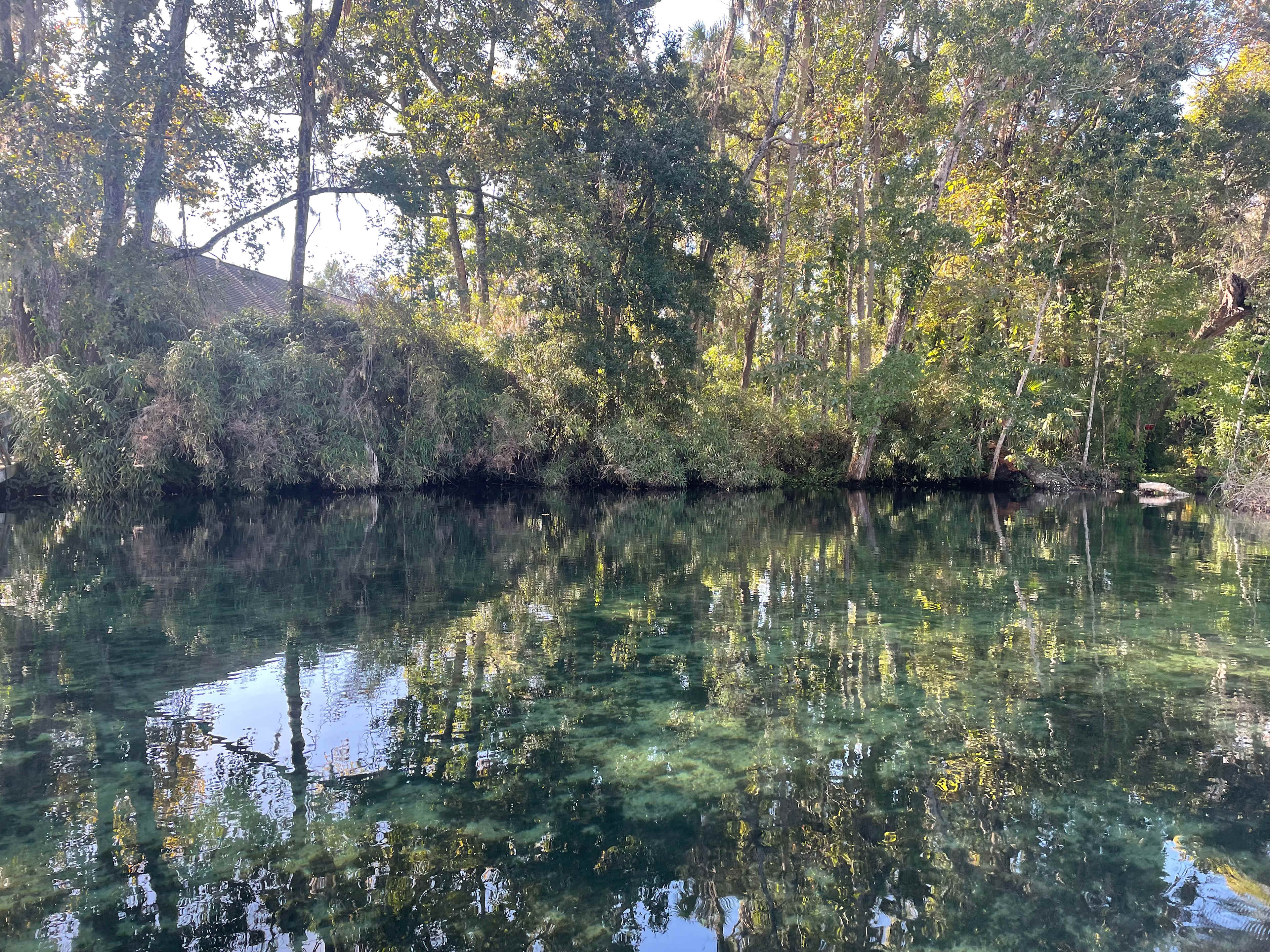 Manatee Delight RV Camp Site