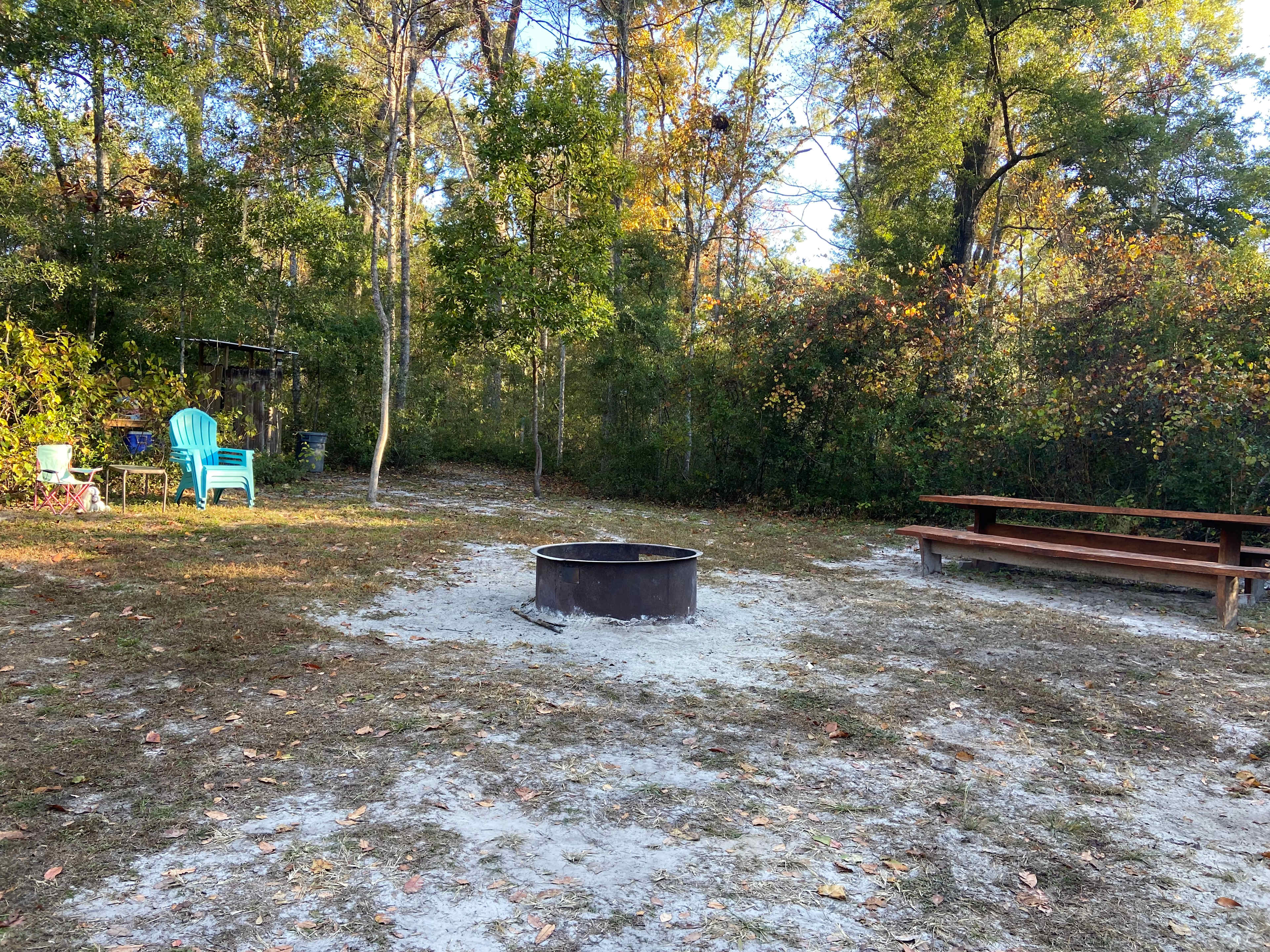 Secluded Wooded Campsite 🏕️