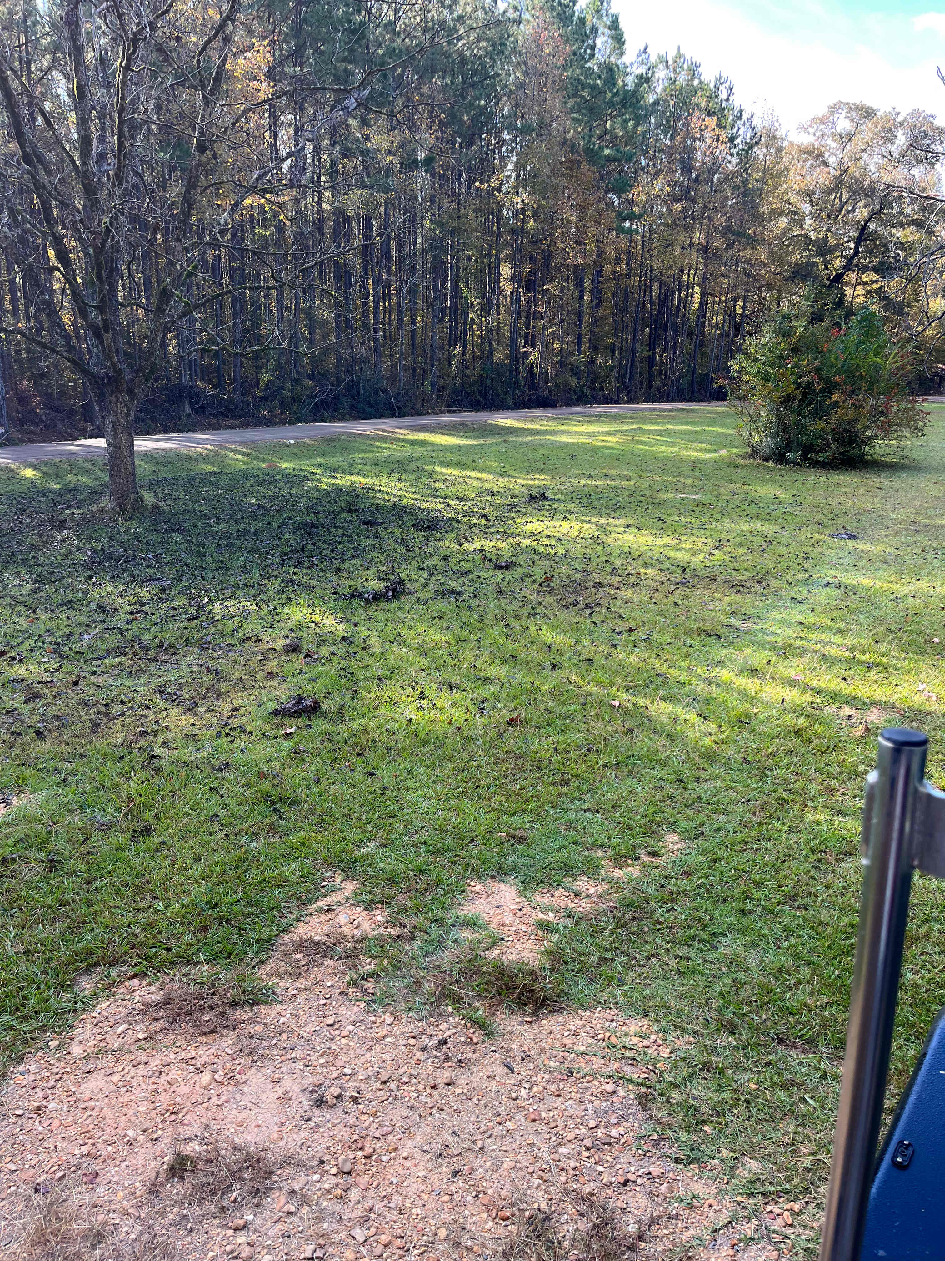 Joyful Haven Of Peace