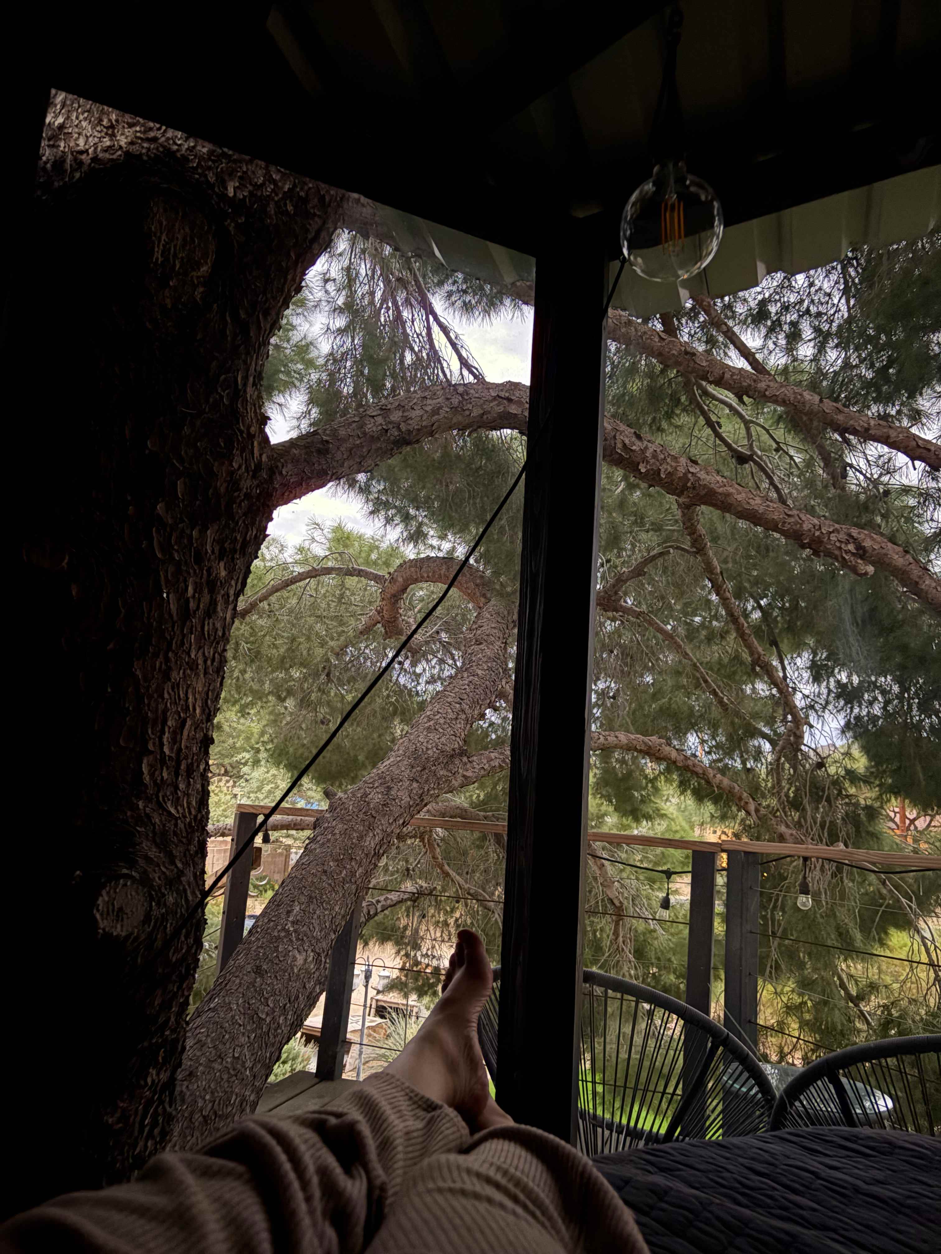 Phoenix Mountains Treehouse