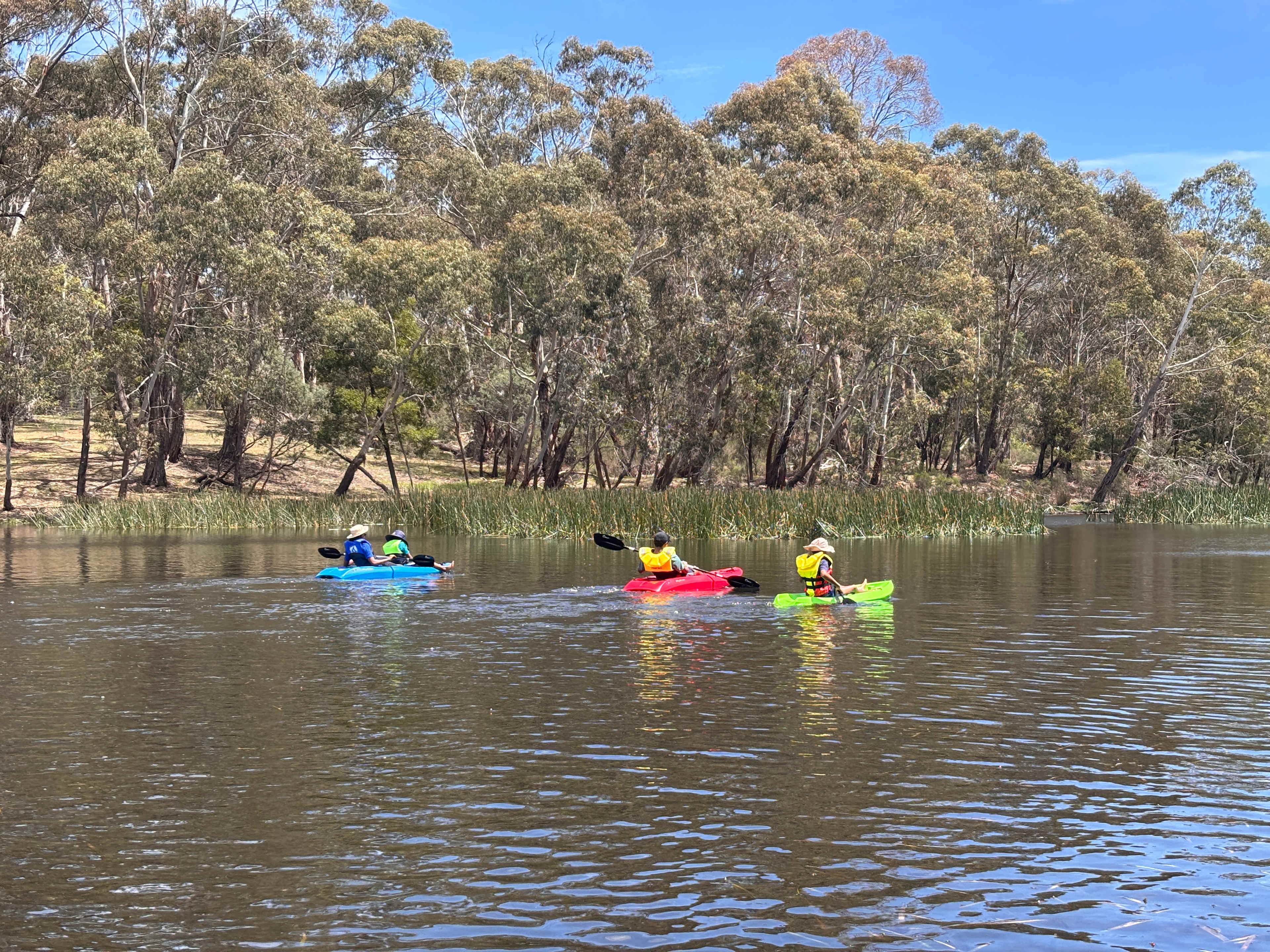 Lancefield Lake's A WETLANDS WONDER