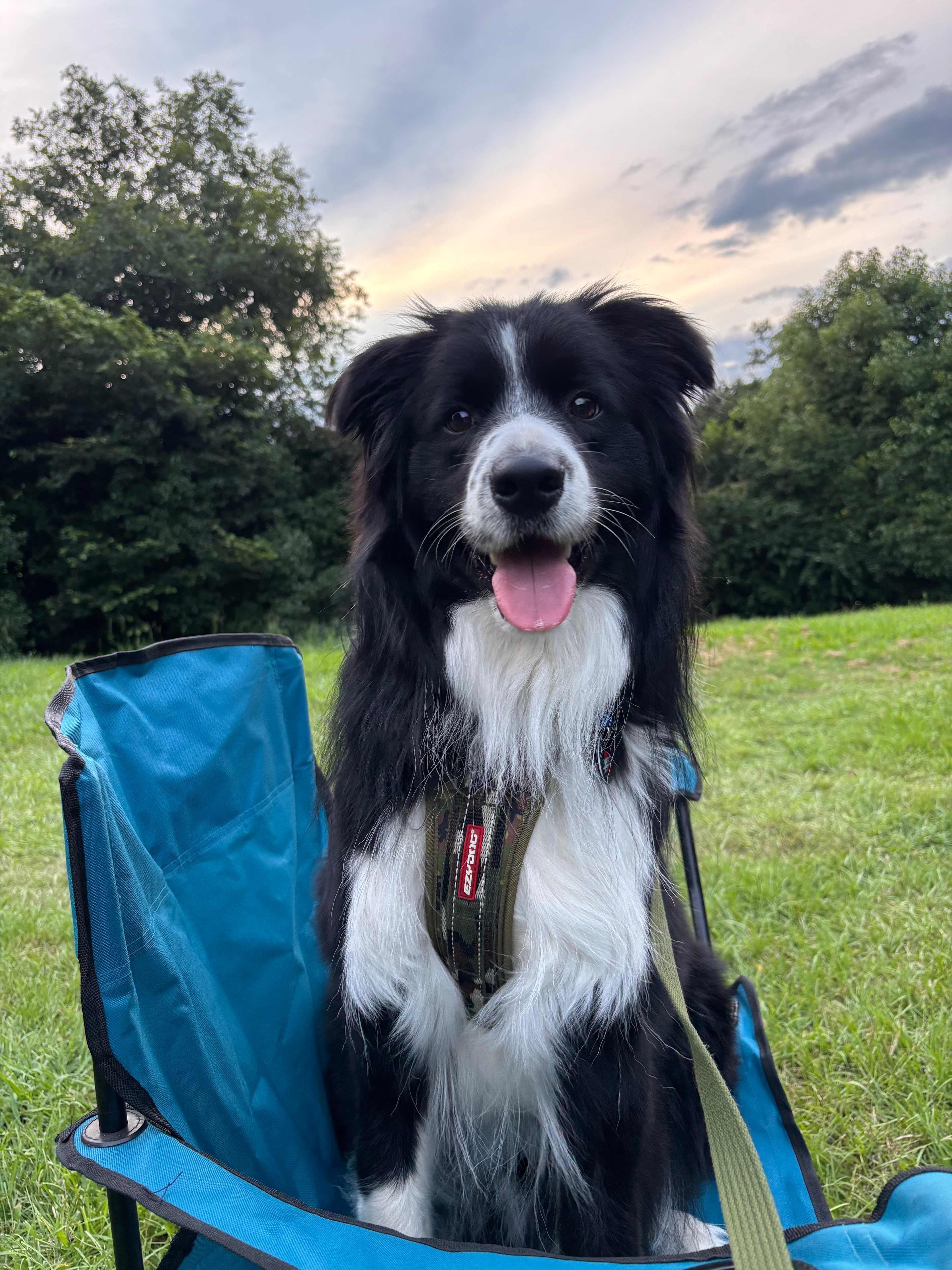 Kenilworth Rural Camping