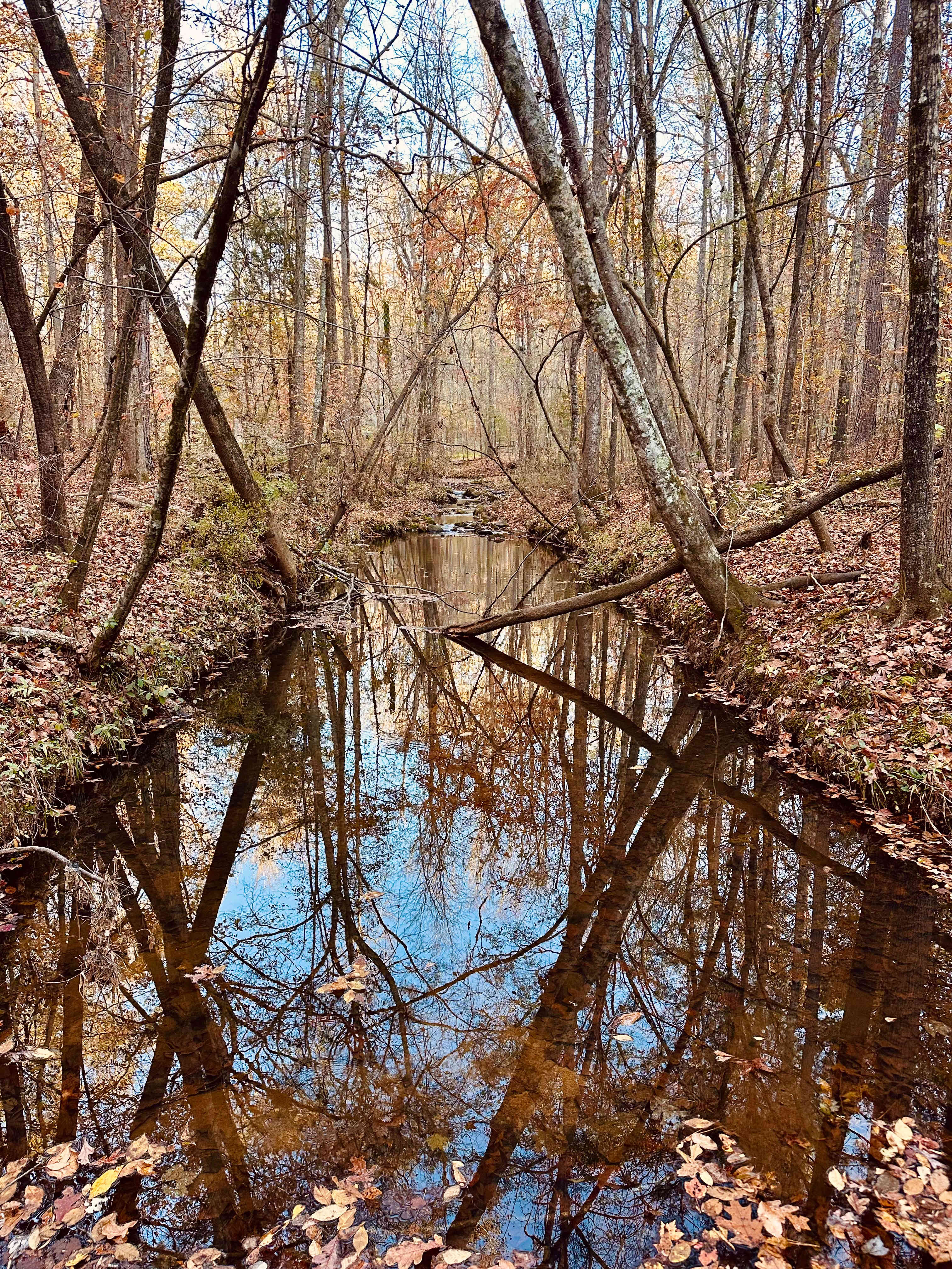 Nuakh Creekside Camping