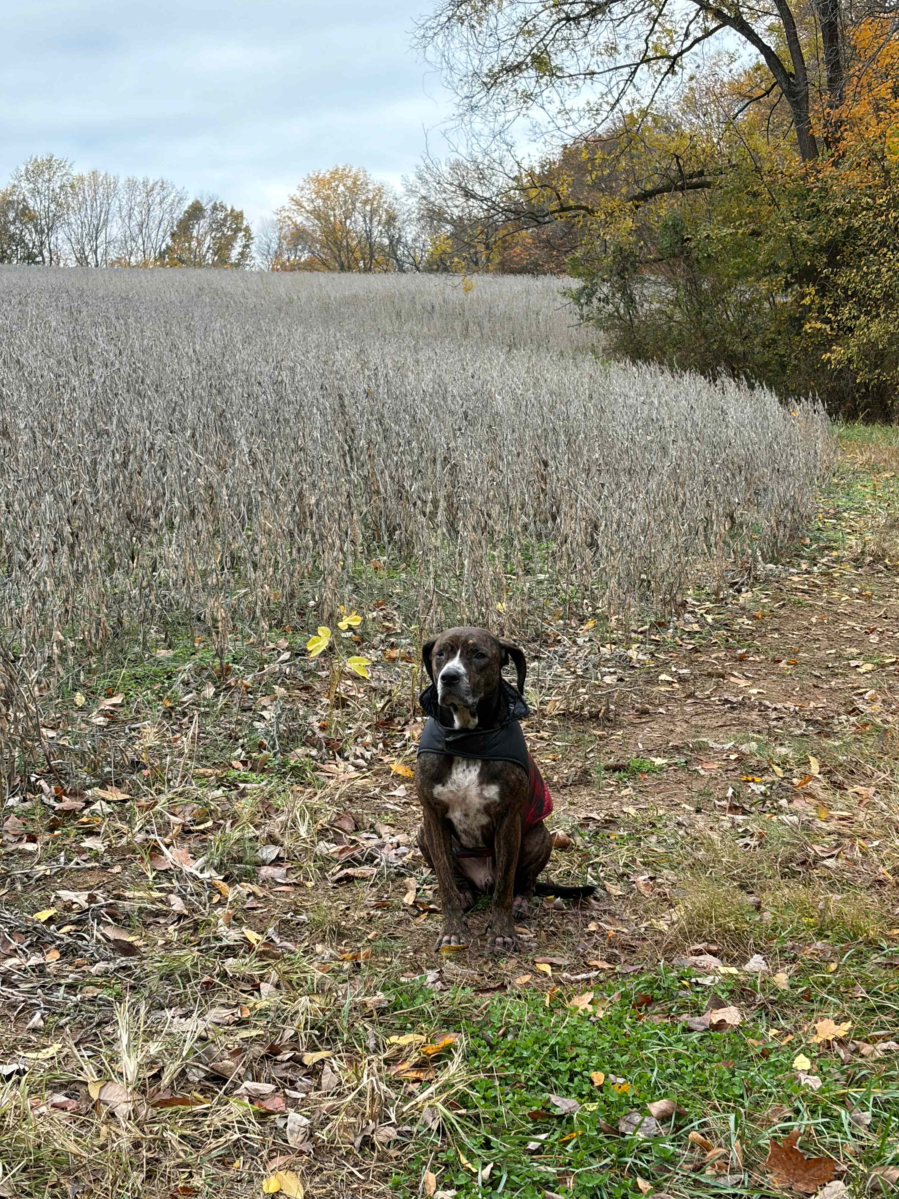 On the back of the farm