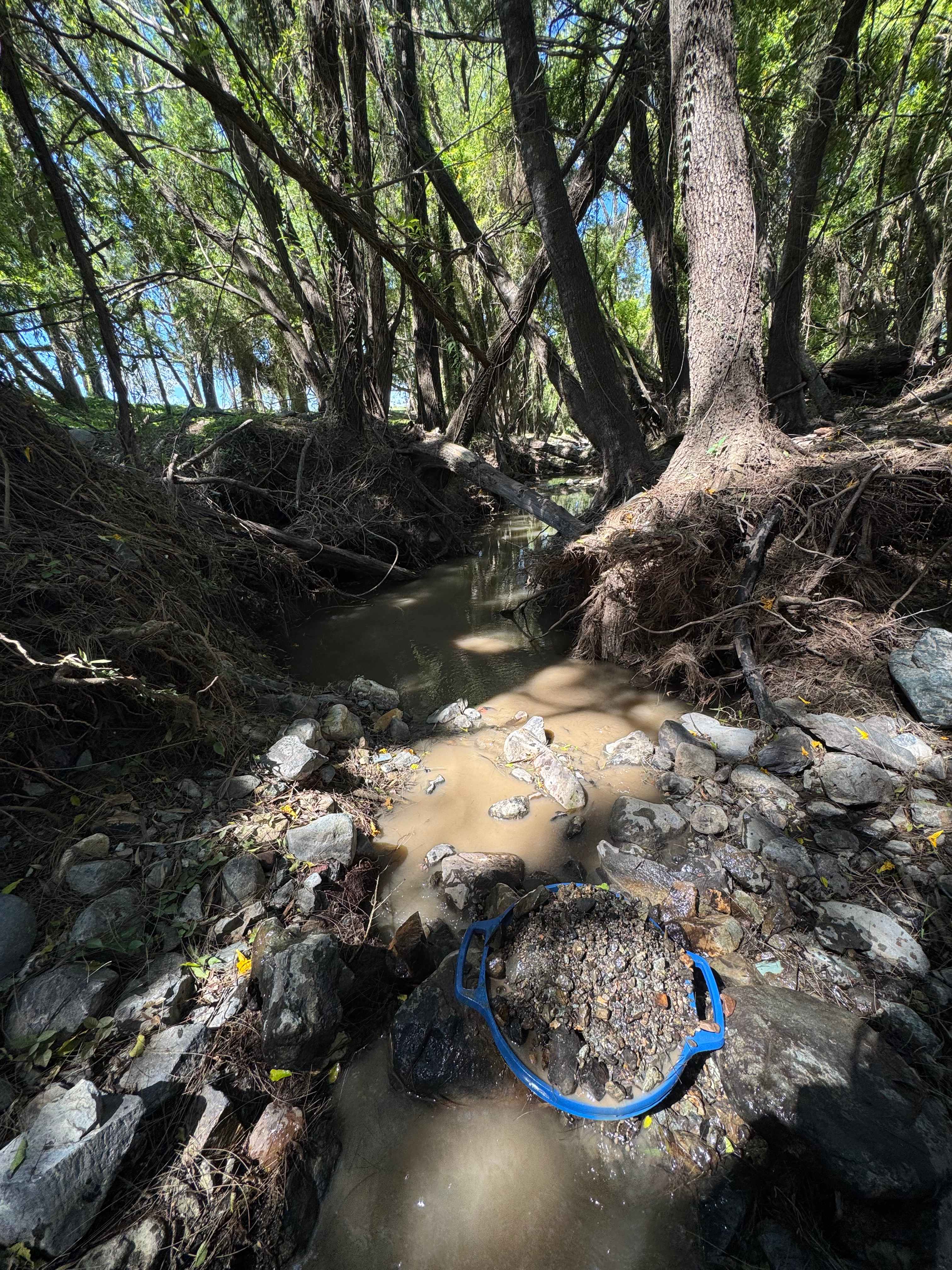 Having a go at prospecting in the creek.