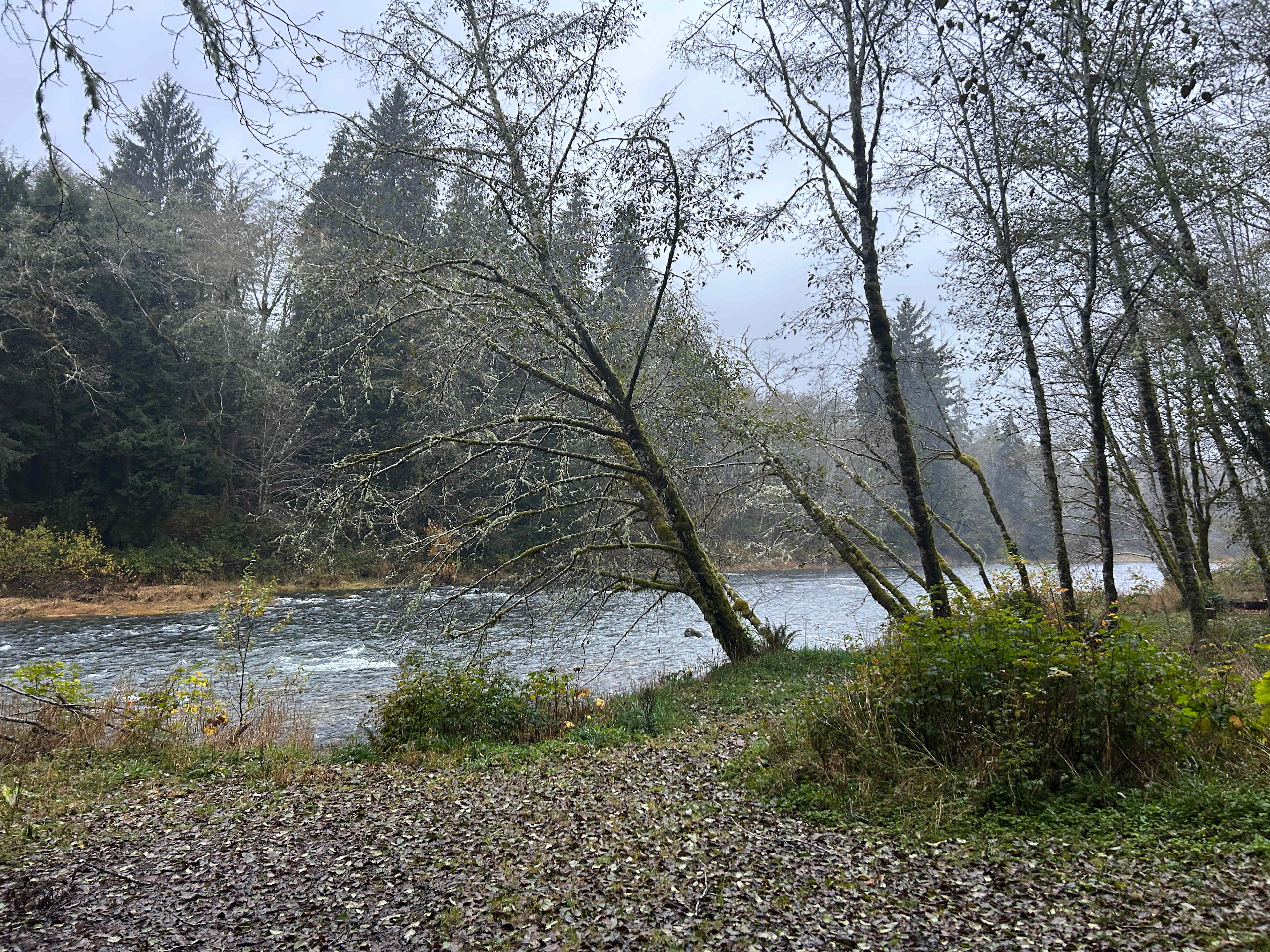 The Ultimate Camping Trip