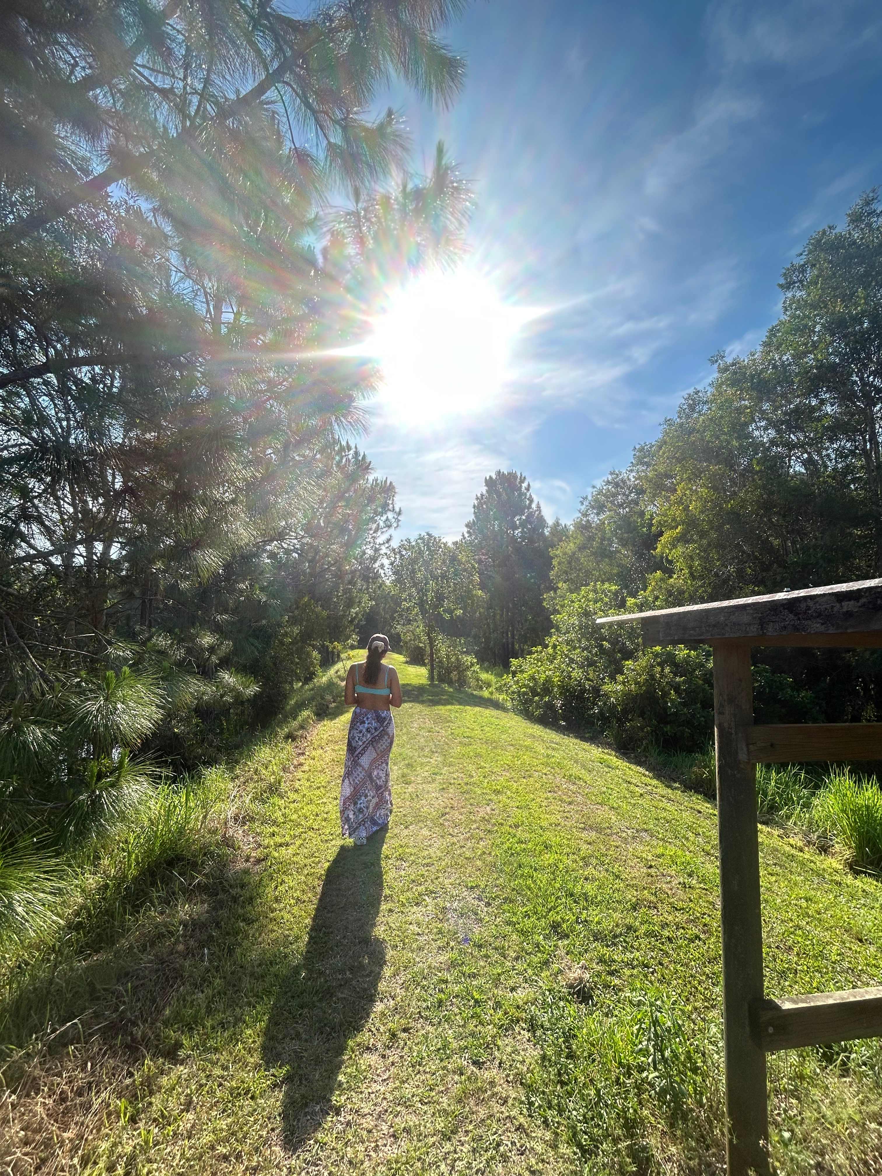 Bushywood at Woodfordskilake