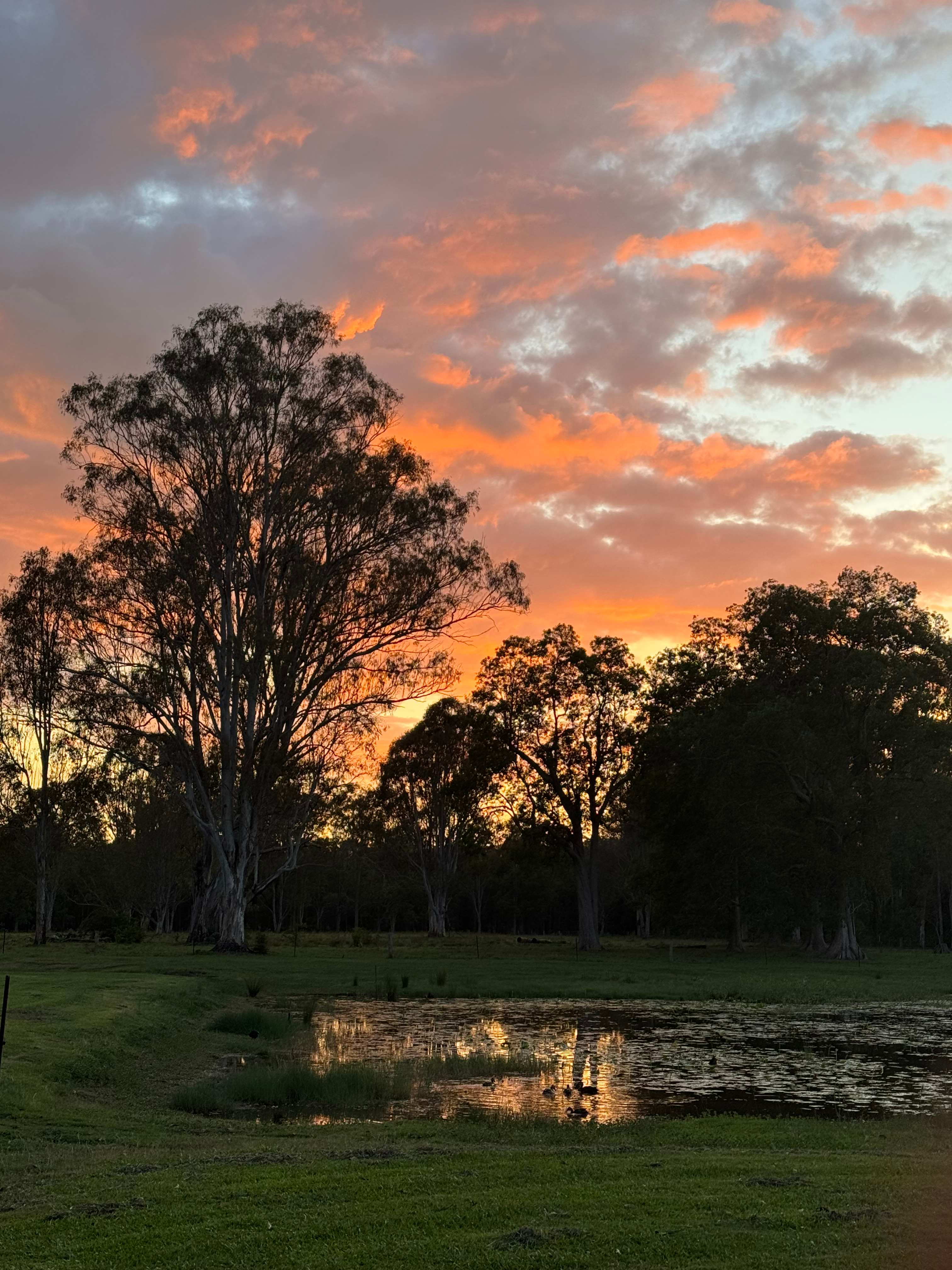 Sylva Lagoons Primitive Bush Camp