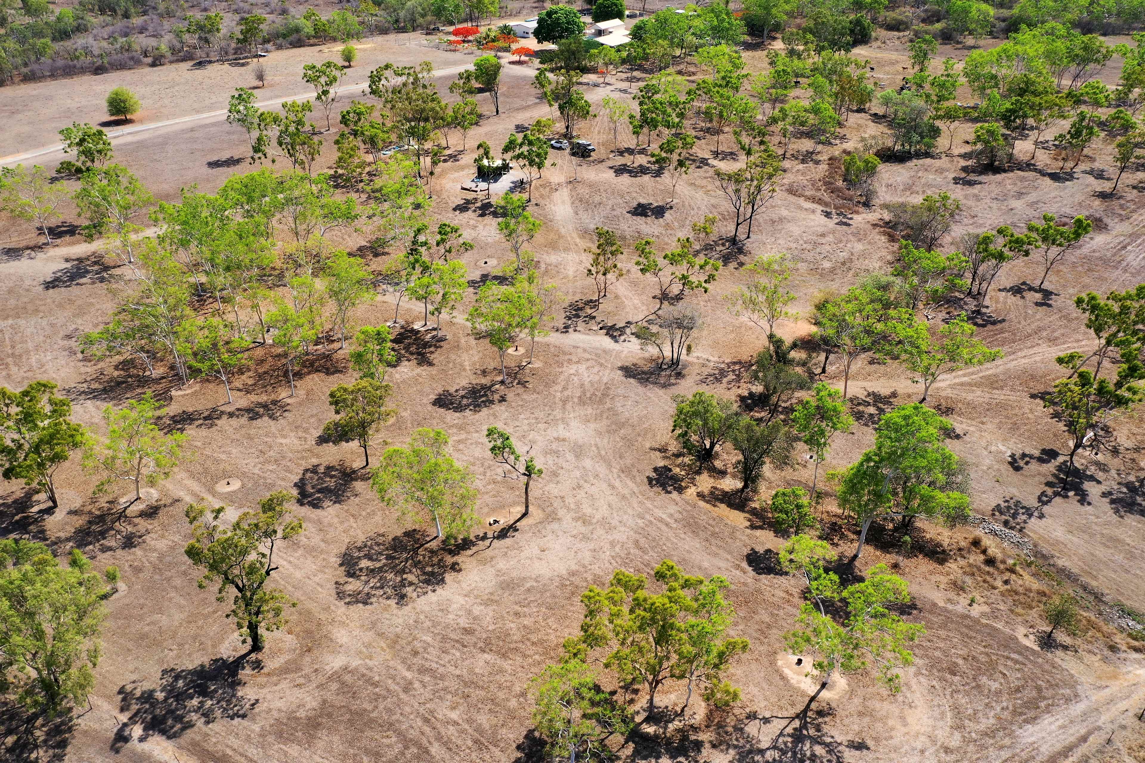 Peak dry season, still beautiful in its own right