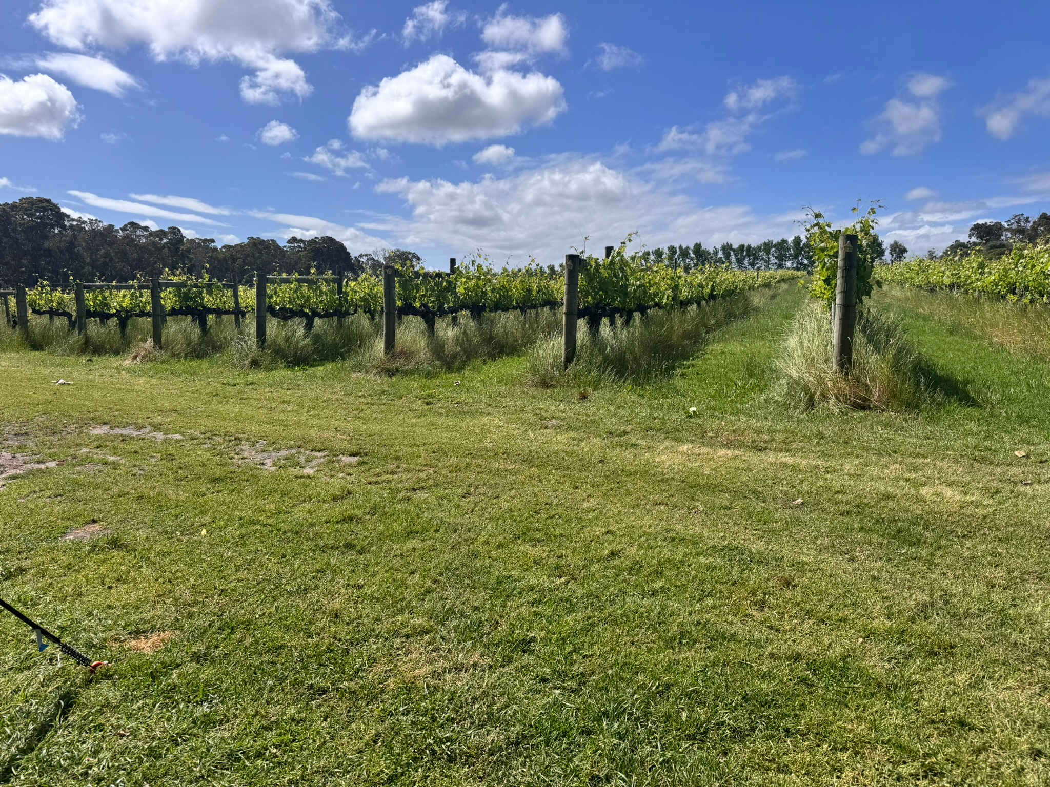 Jarvis Estate Winery & Camping