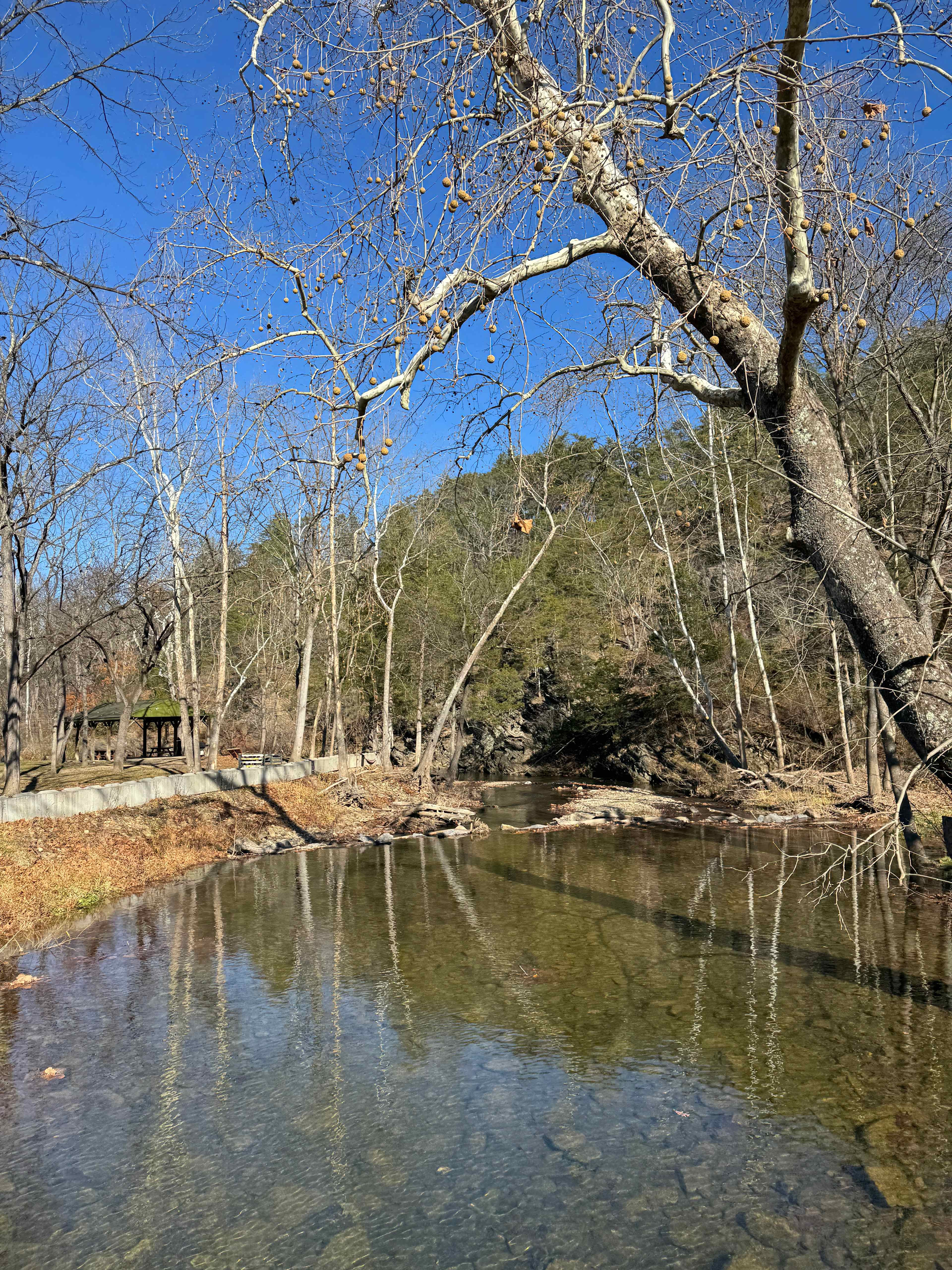 morning view of river from bridge near front
