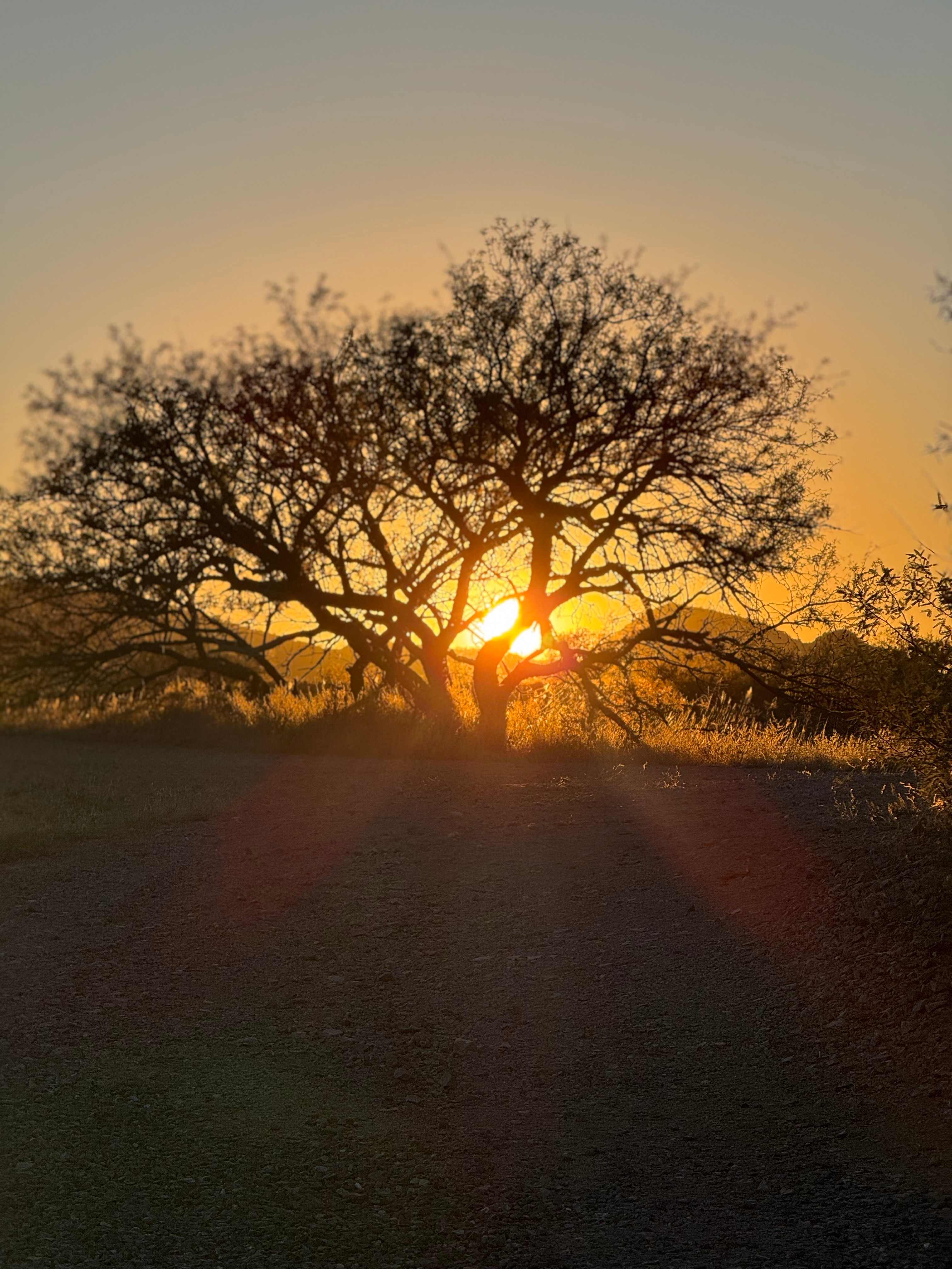 Exception Ranch RV Site