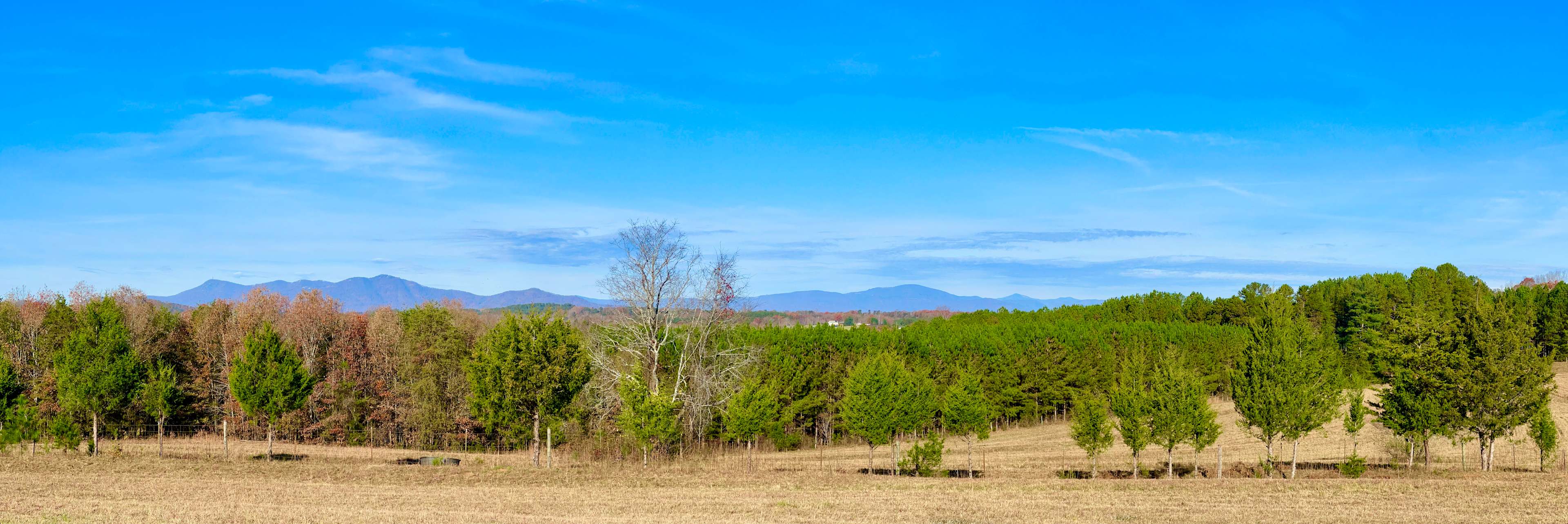 Hinsdale Farm-Mountain View Oasis