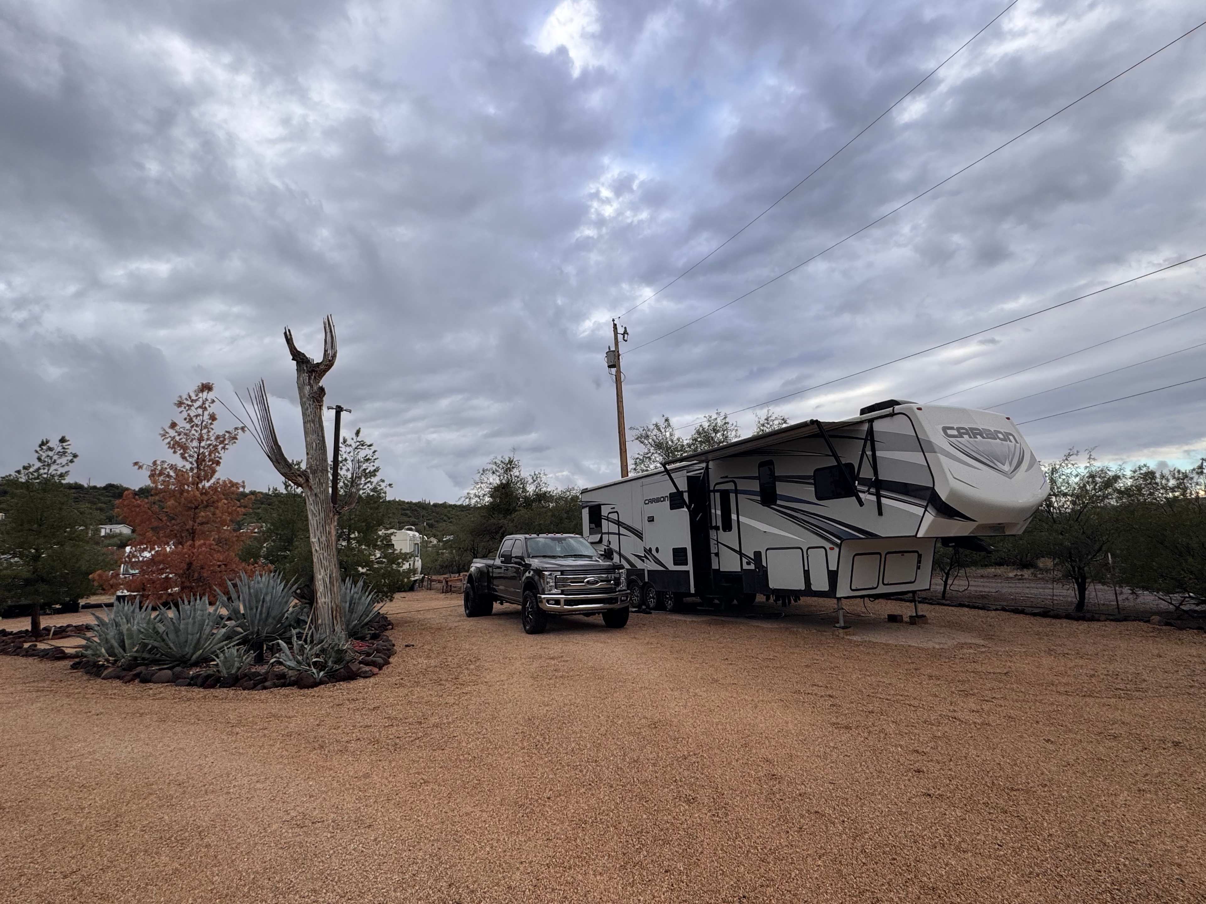 Saguaro Forrest @ Dragonfly Ranch