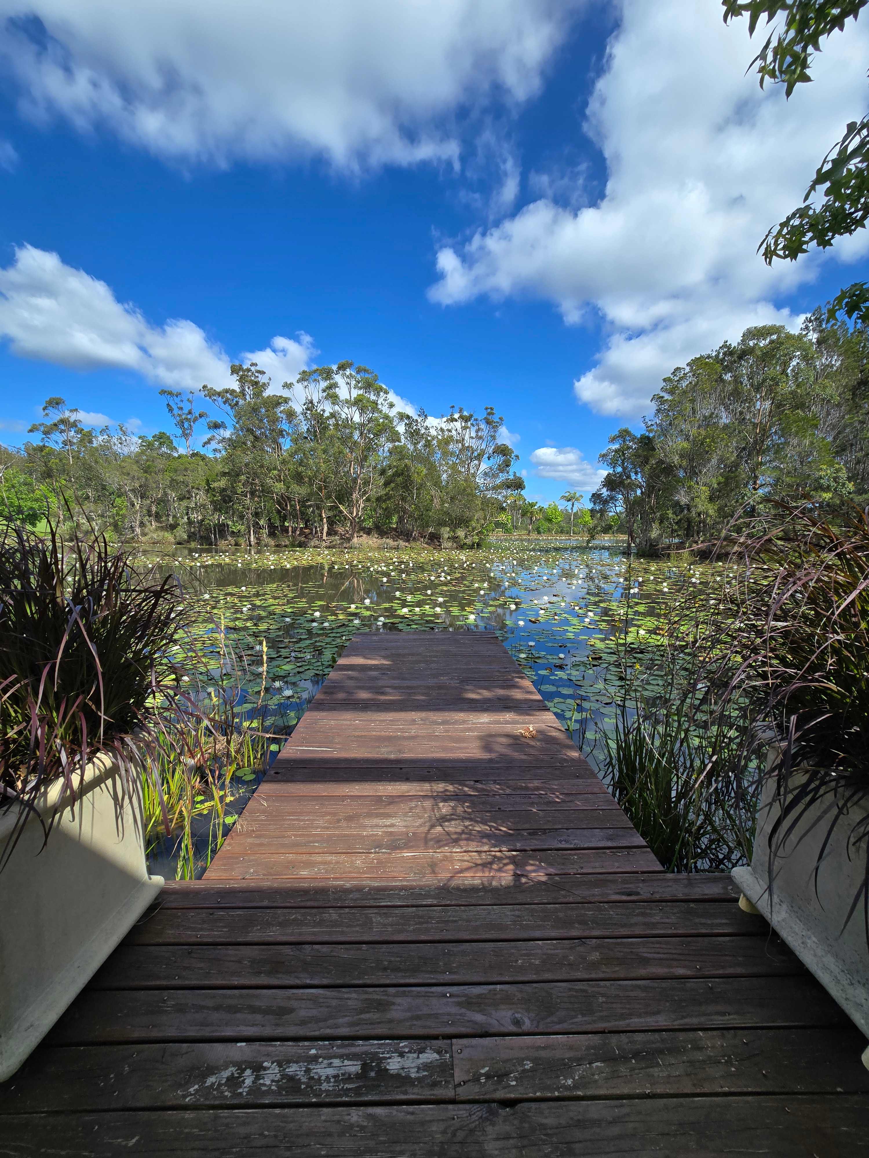 Benefields Rose Farm