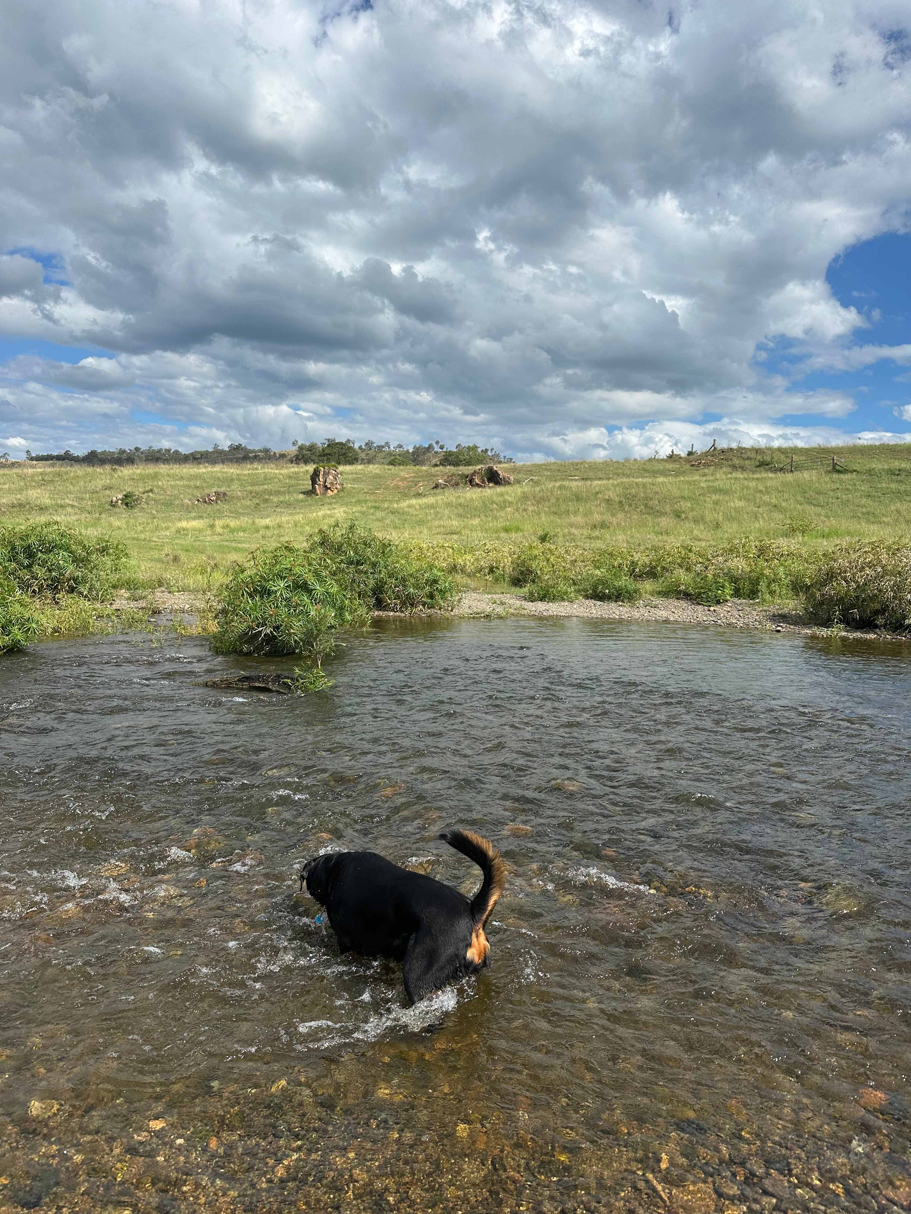 Running creek playtime