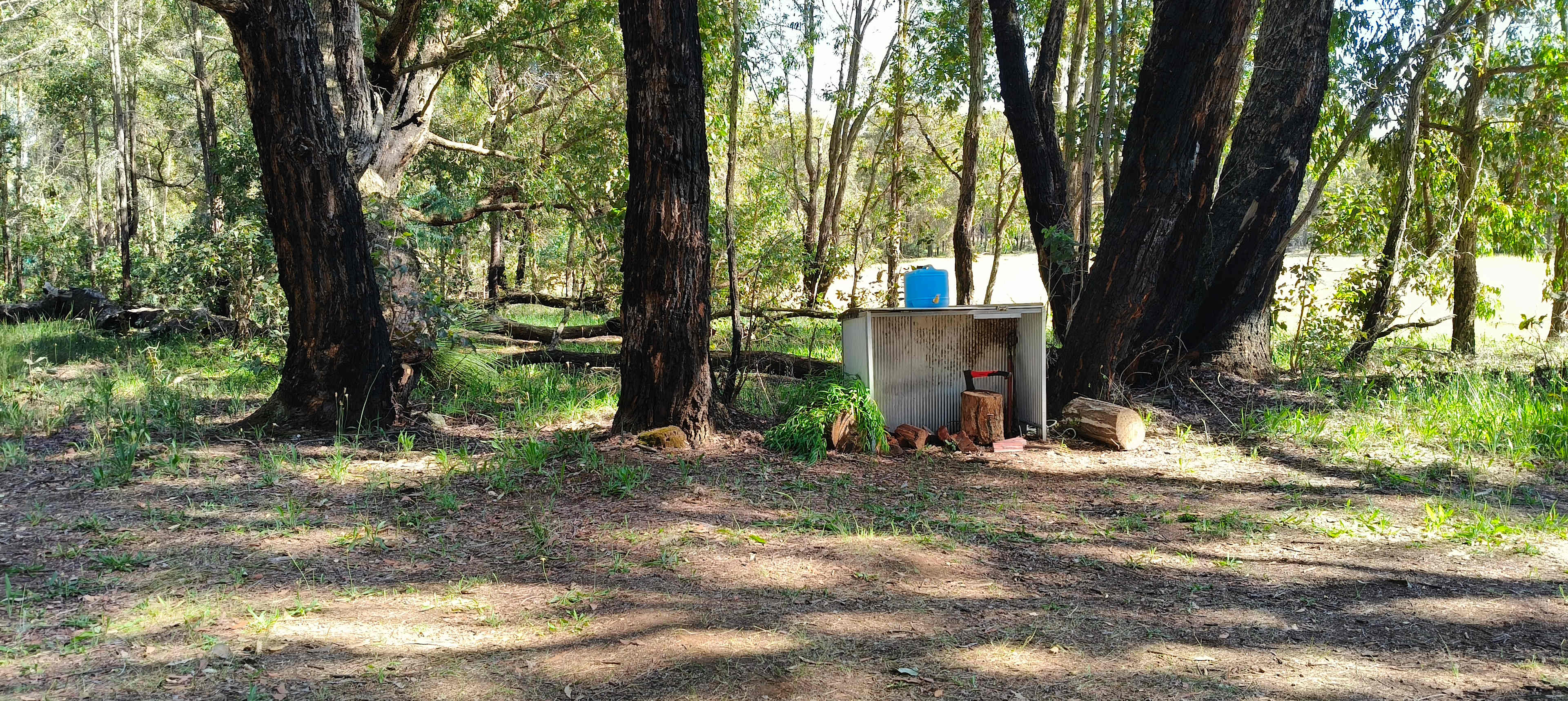 Some firewood, axe, rake, water. 