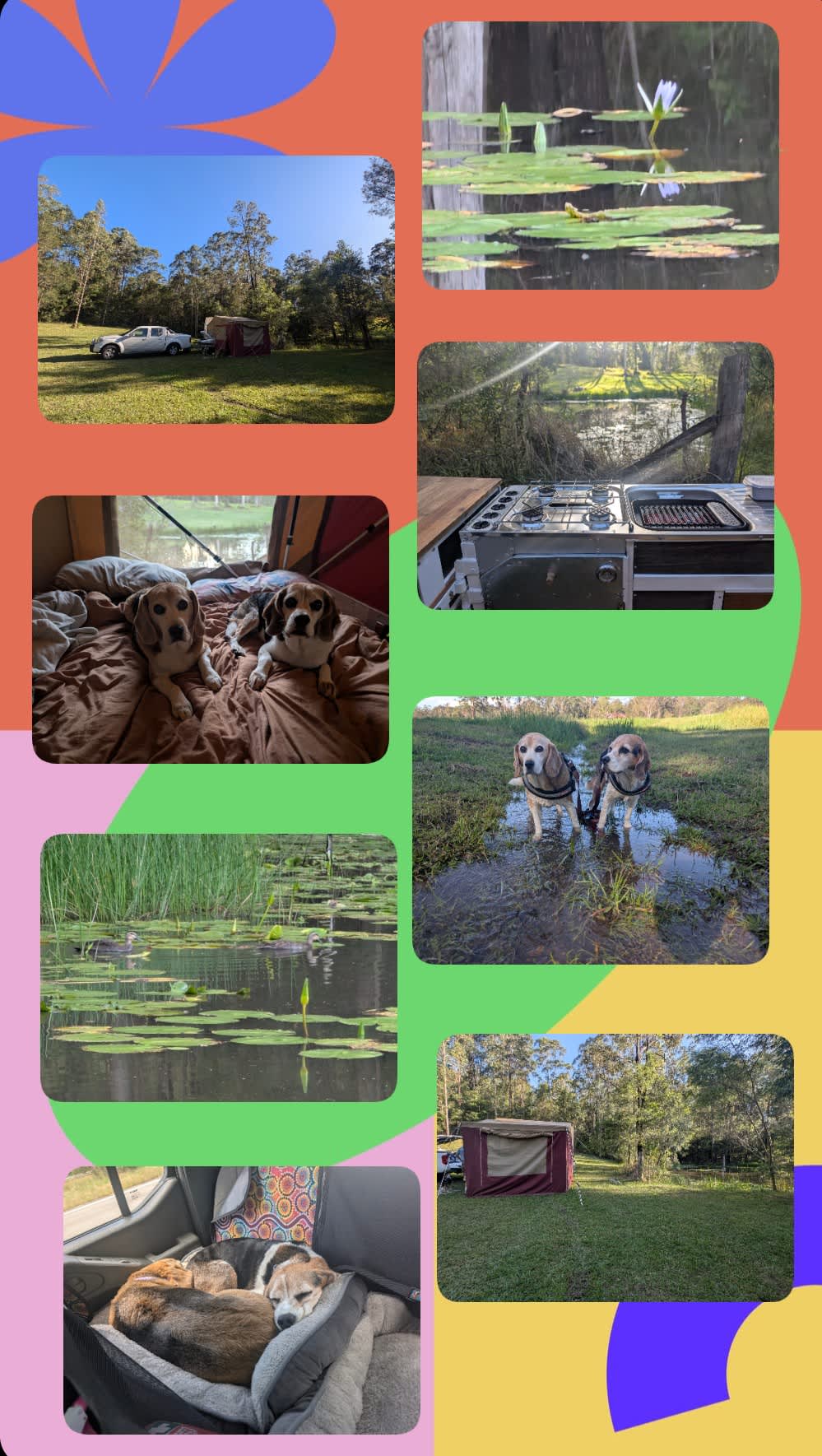 The Good Life Camping