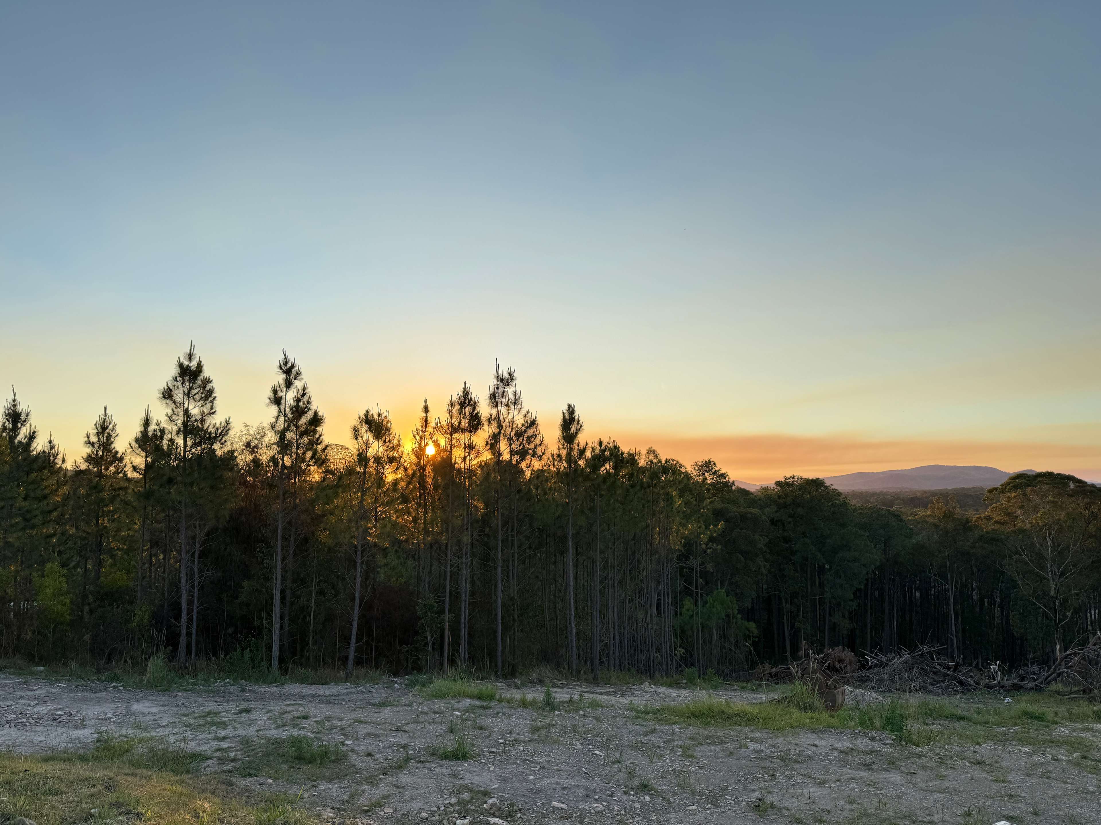 Fame Mountain Camp - pets welcome