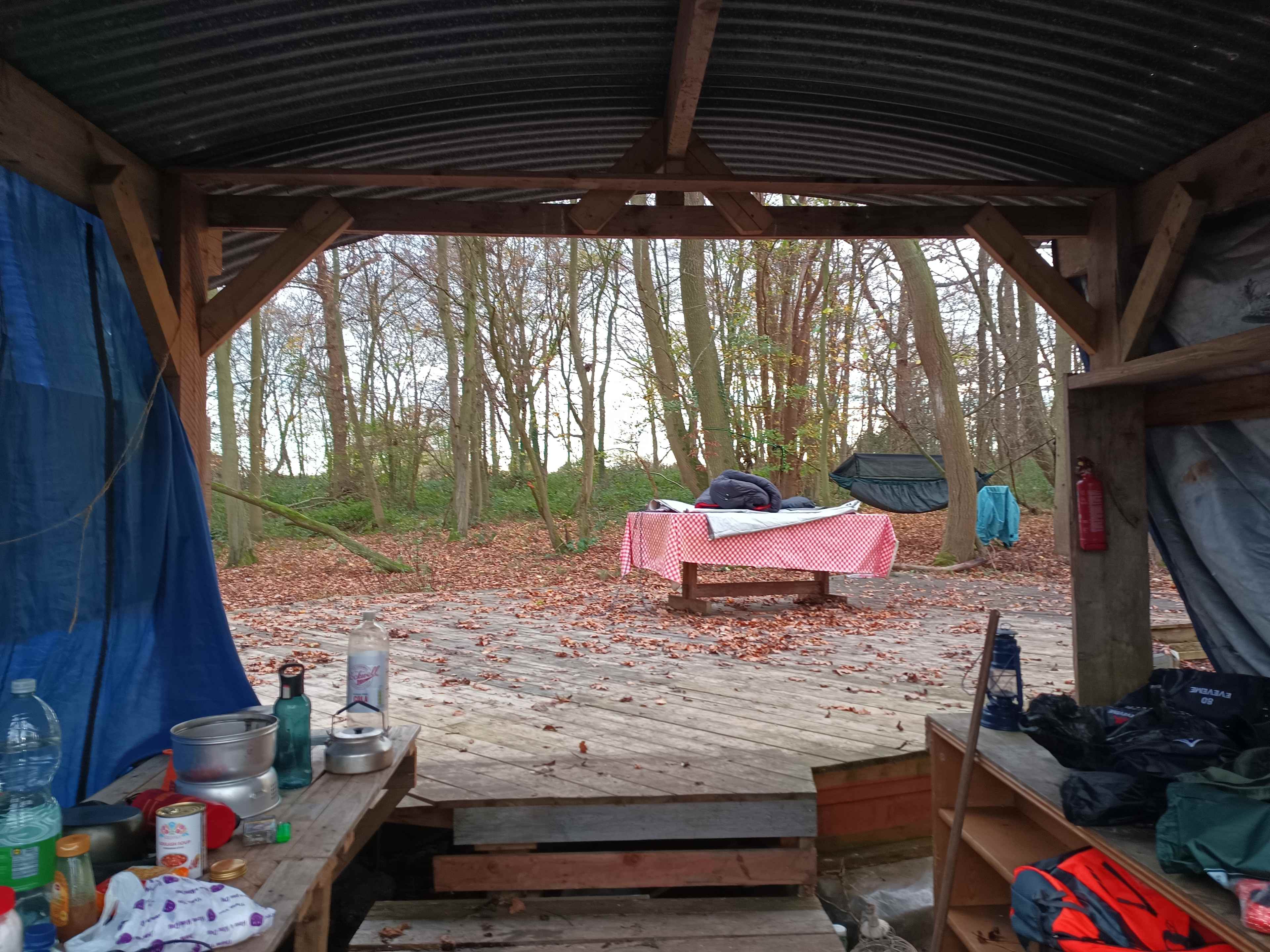 Secluded Woodland Camp