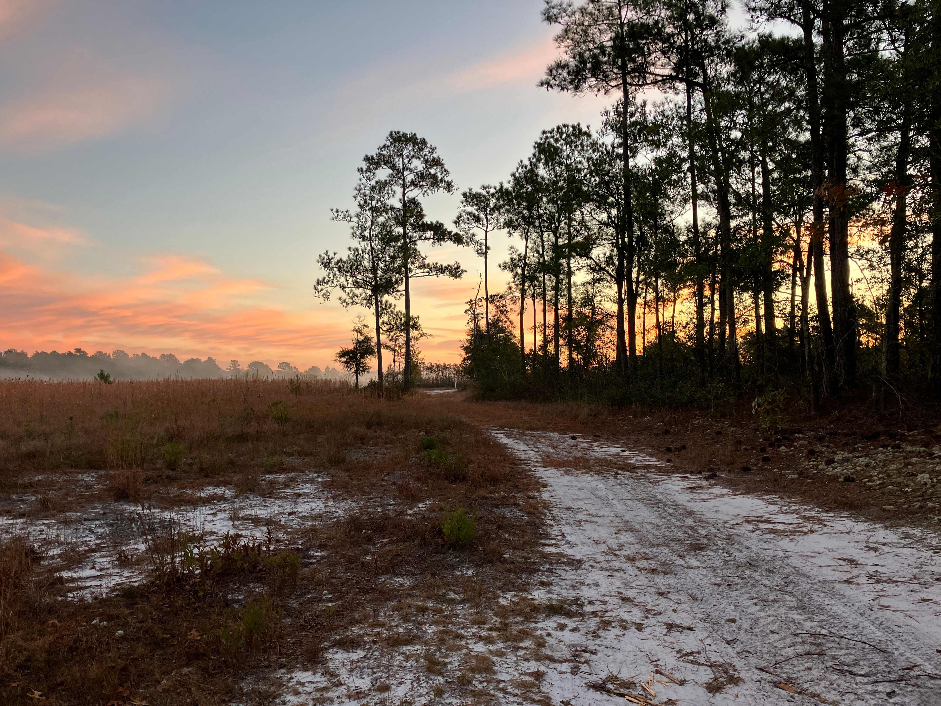 From campsite looking up road towards a pond