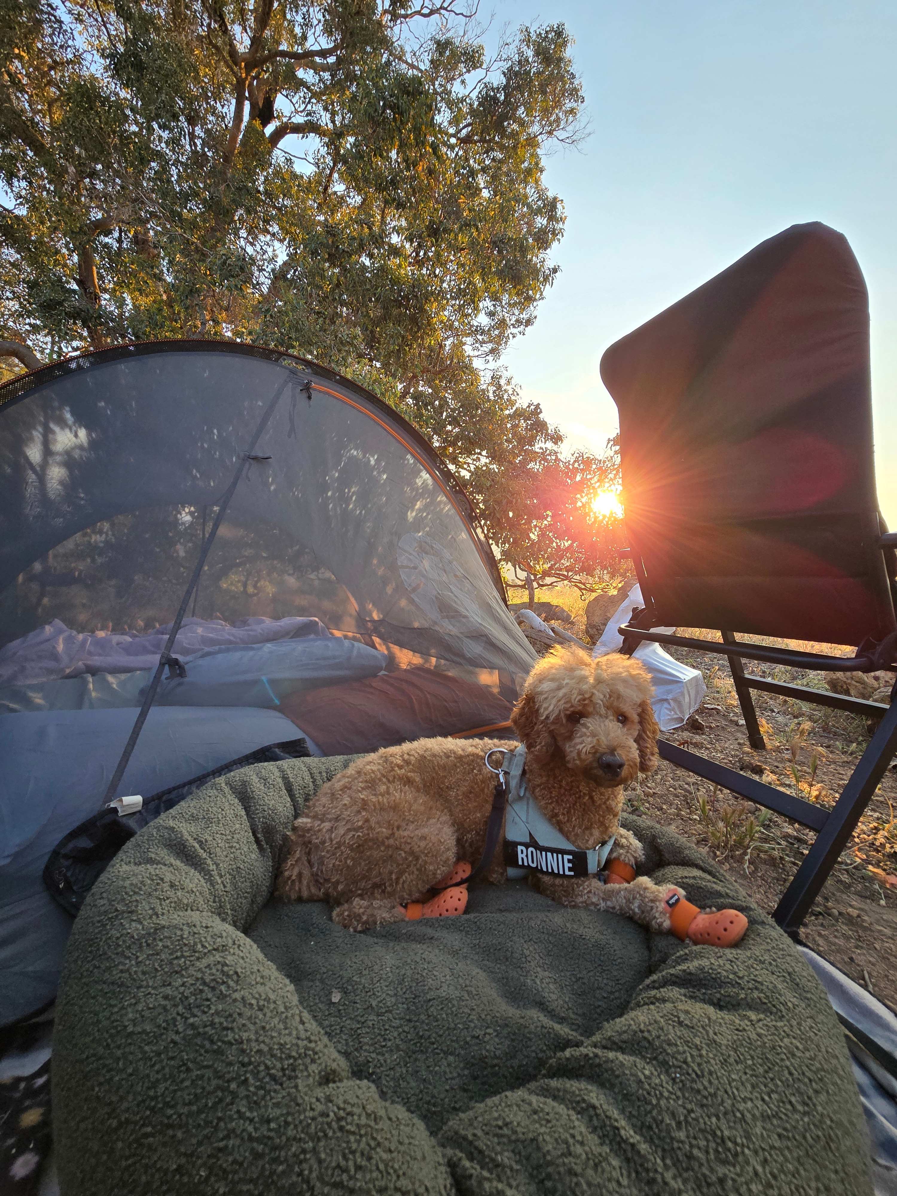Sunset Ridge Camp Sites