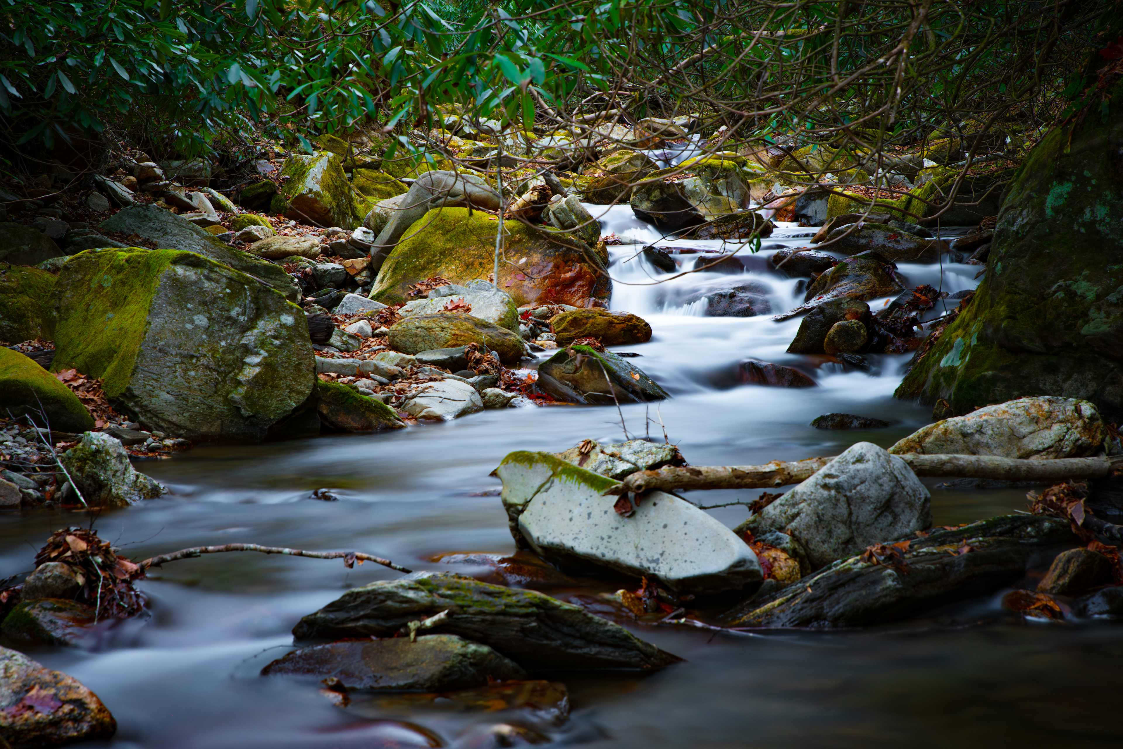 Indigo Eagle Sanctuary