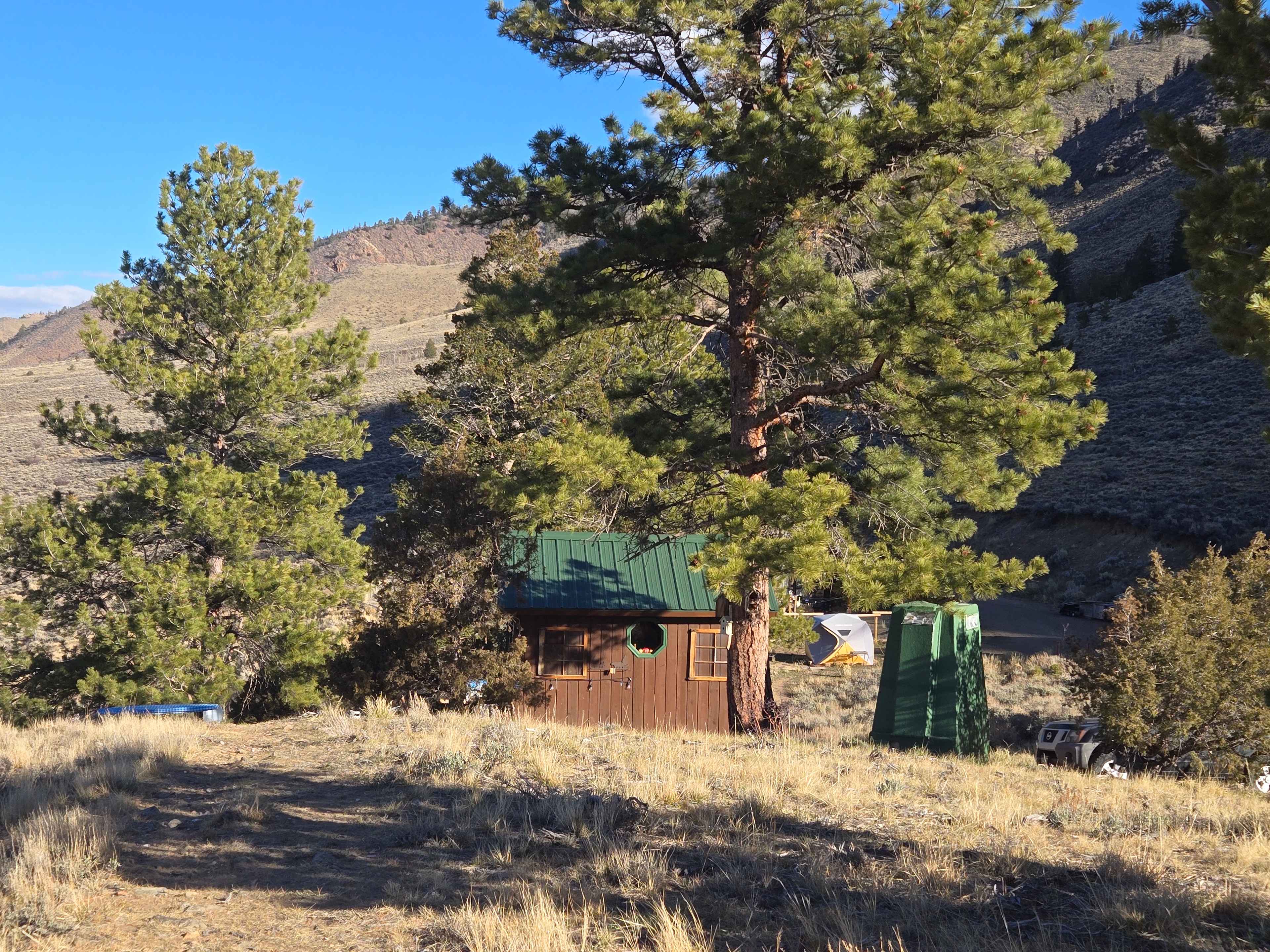 Little Cabin with a view