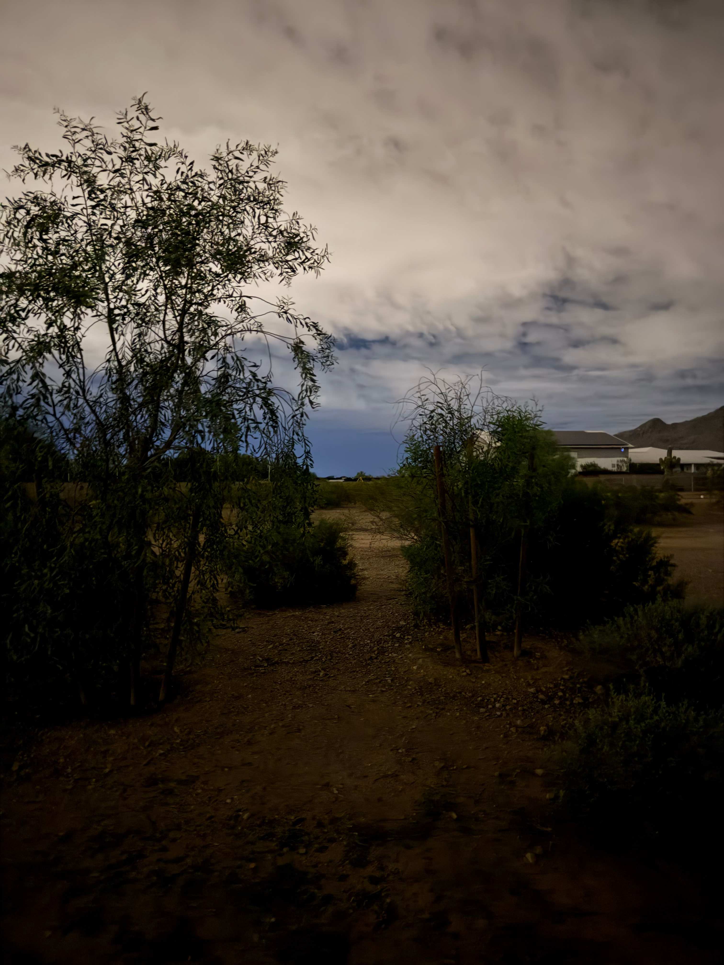 Santan Mountain Views