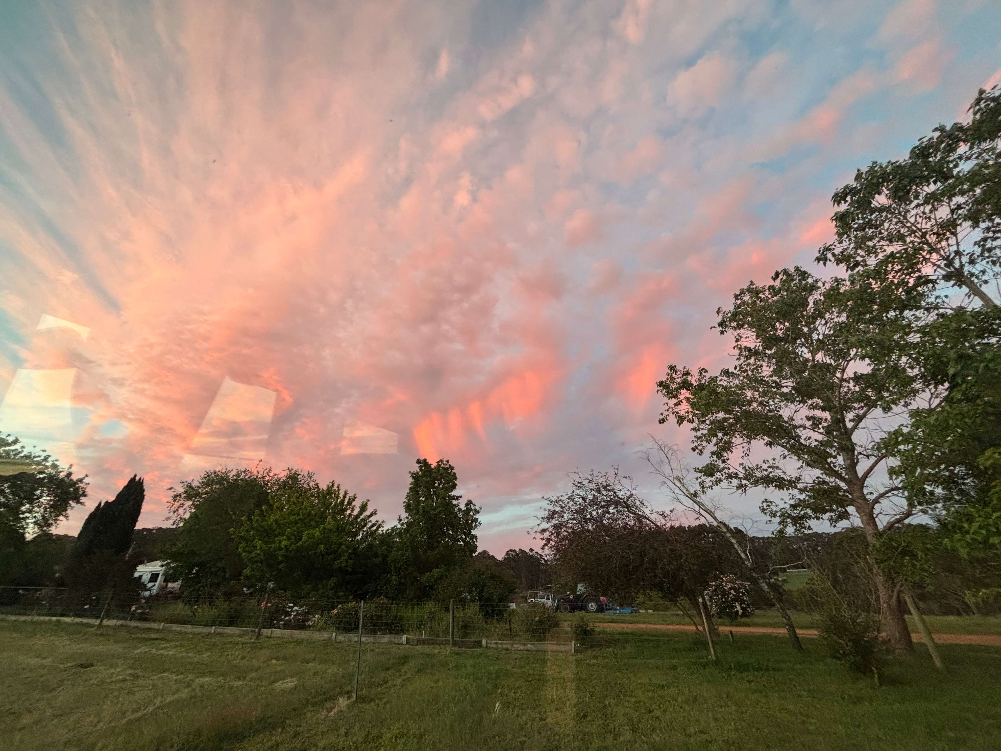 Denmark Farmhouse Cheese