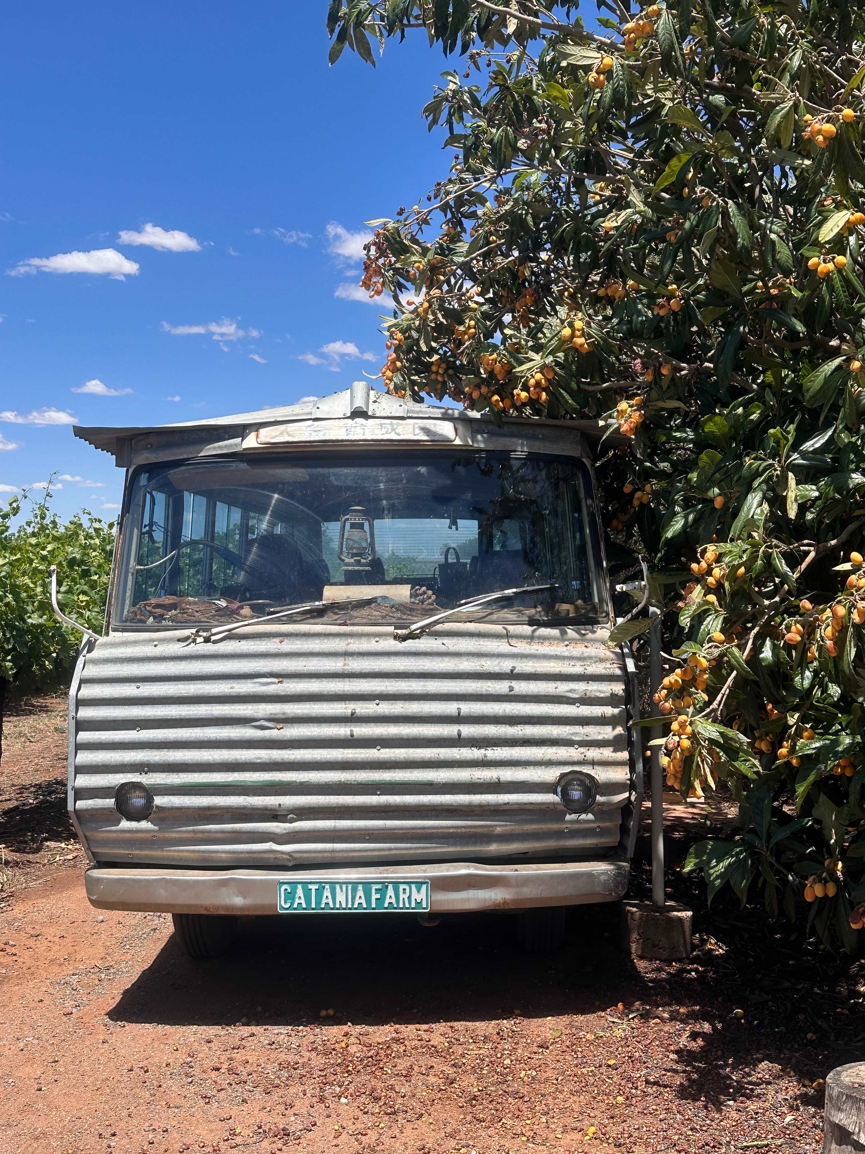 Luxury coach for farm tour