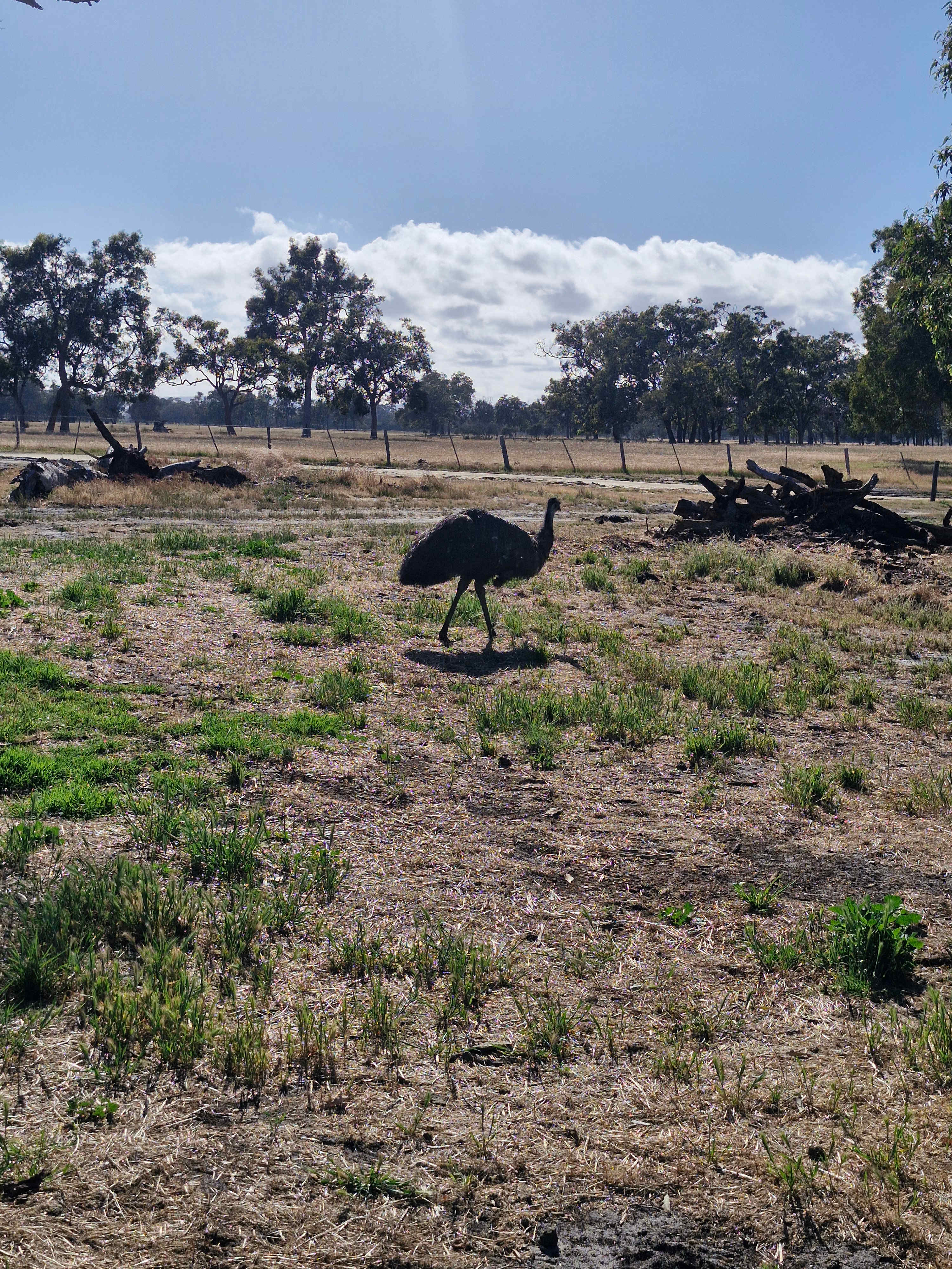 Herron Point Farm Stay