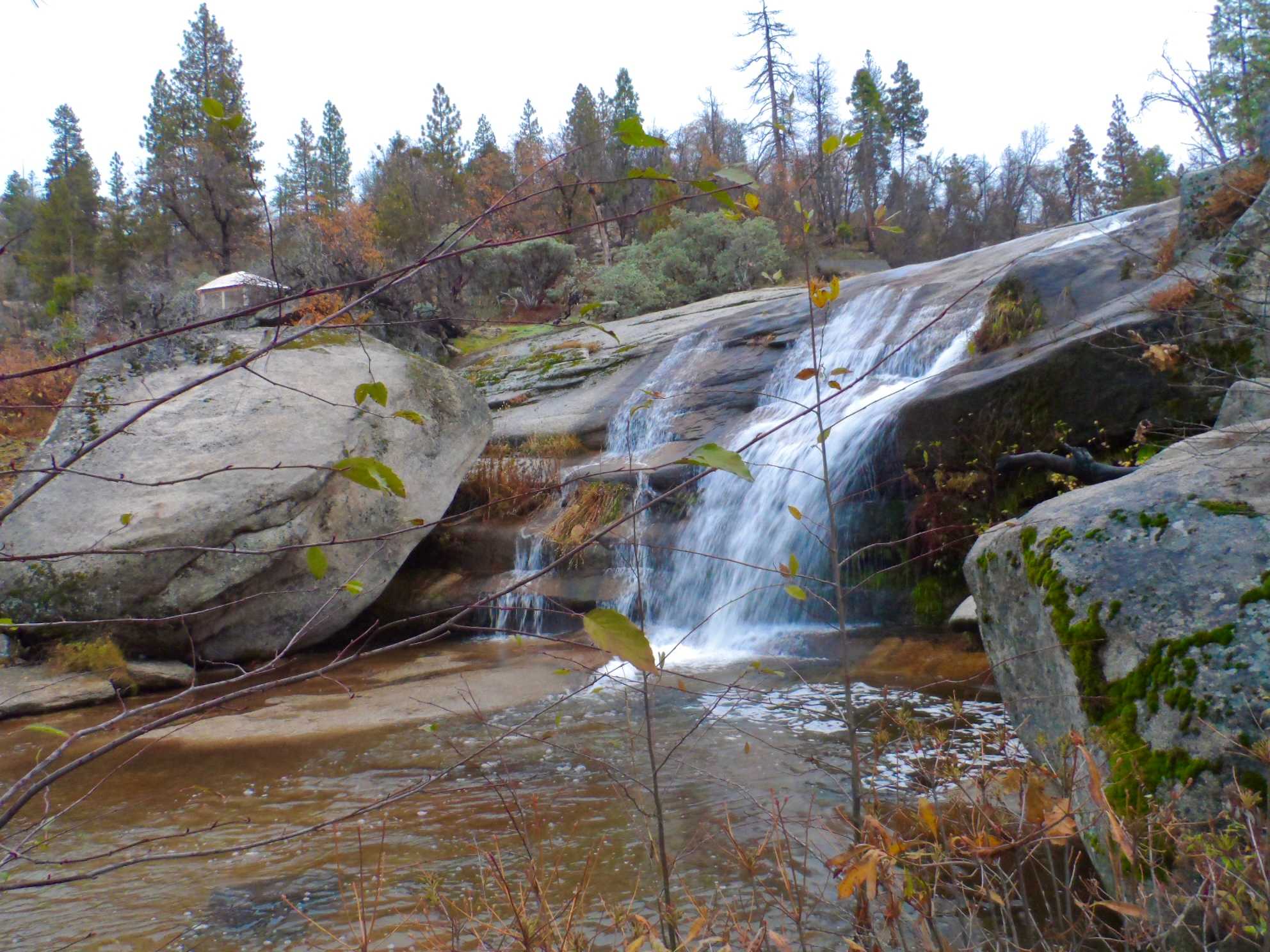 Musick Creek Falls by Shaver Lake