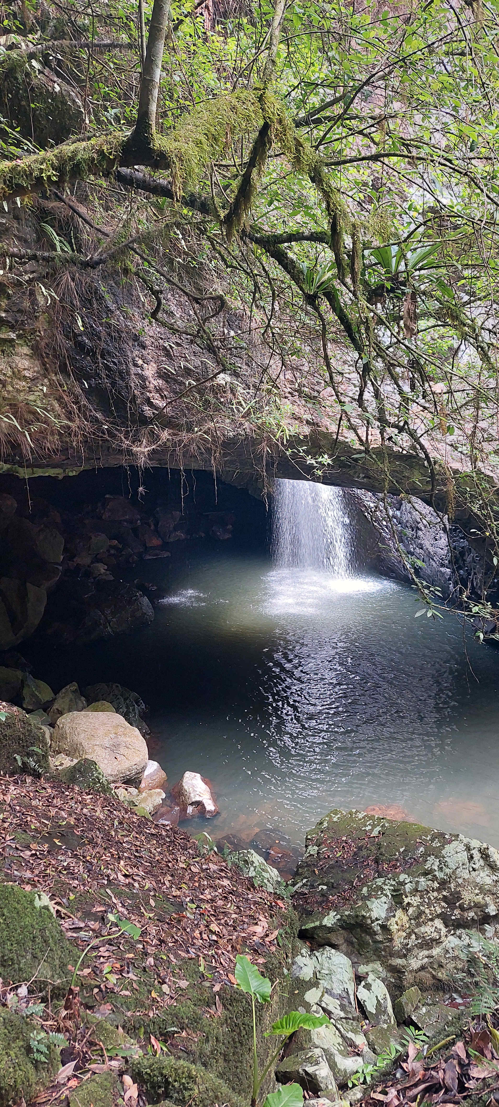 "JALUM" Undulating Farmland!