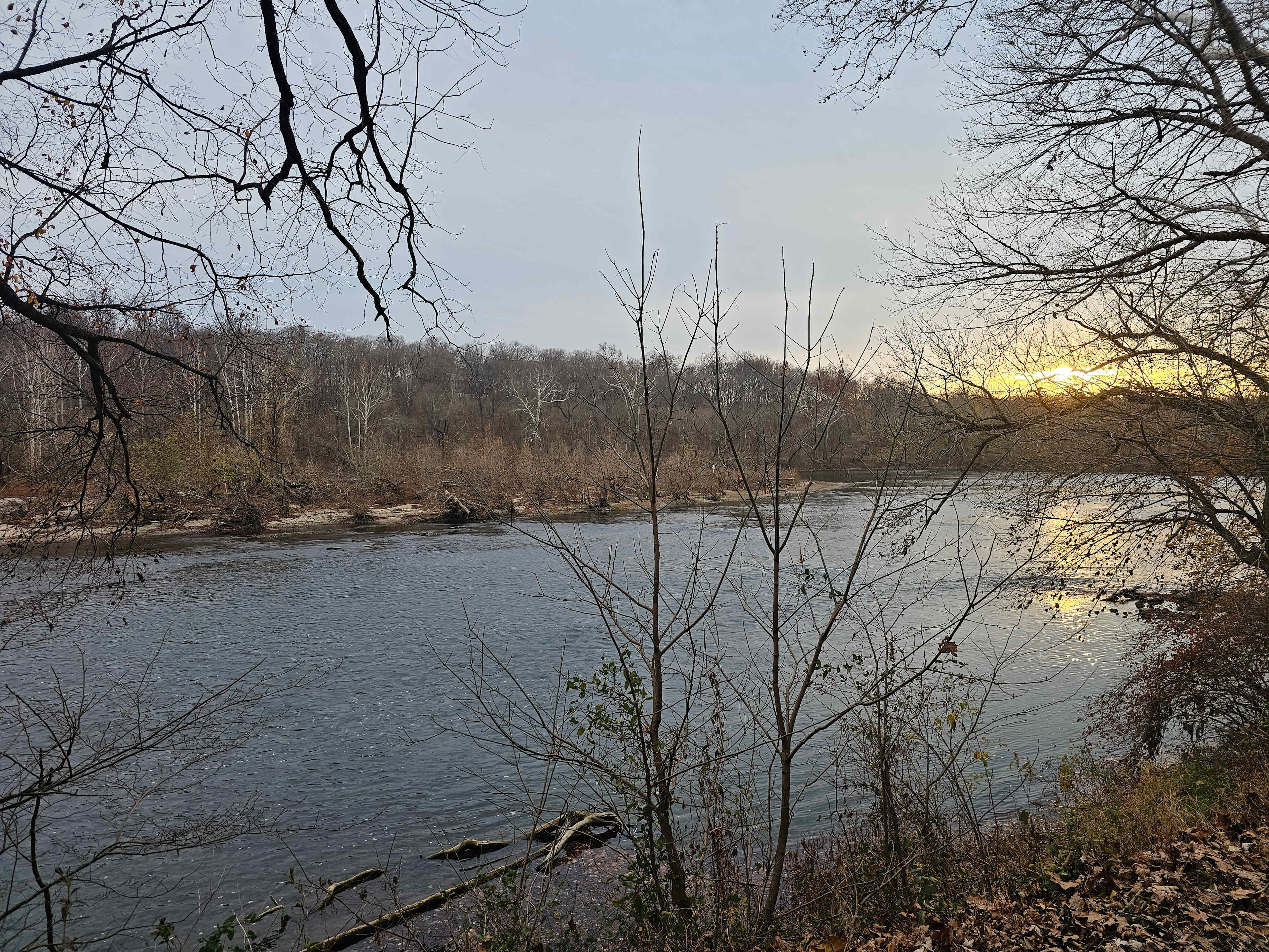 Taylors Landing Camping Club