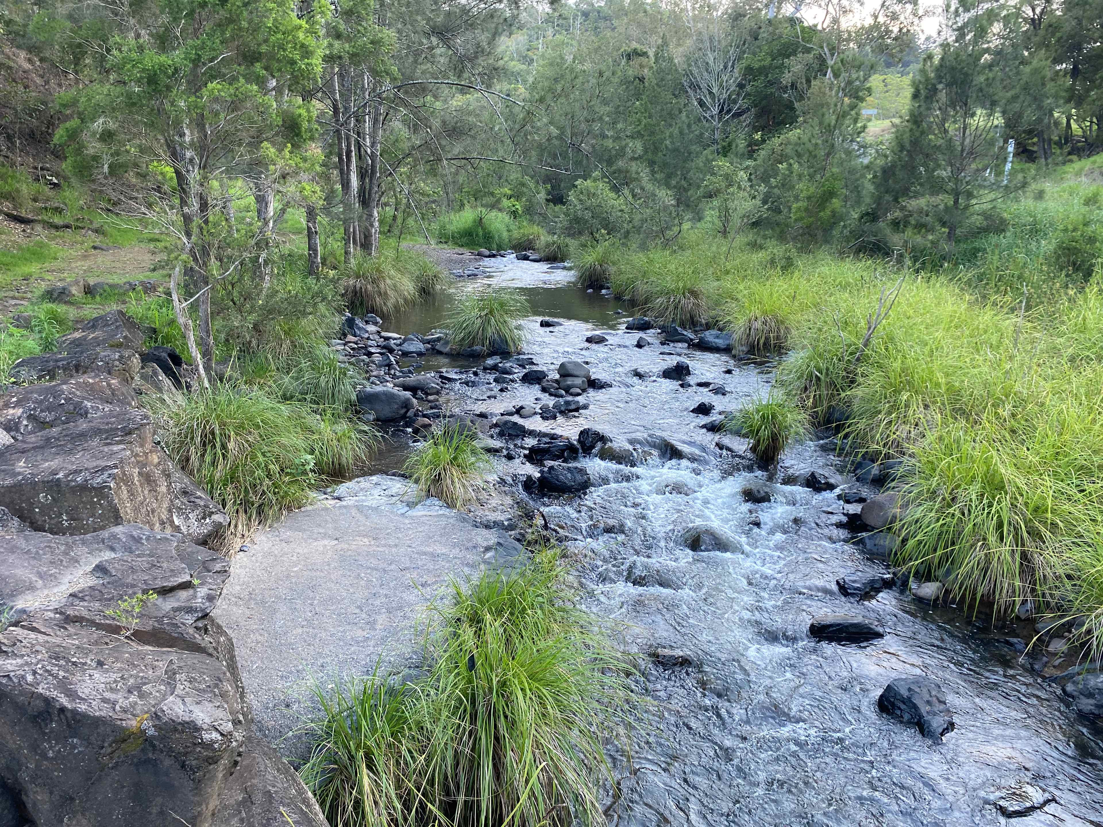 Andrew Drynan Park-Camp with a view